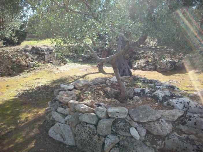 Photo 54