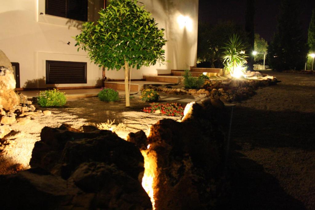 Photo 29
