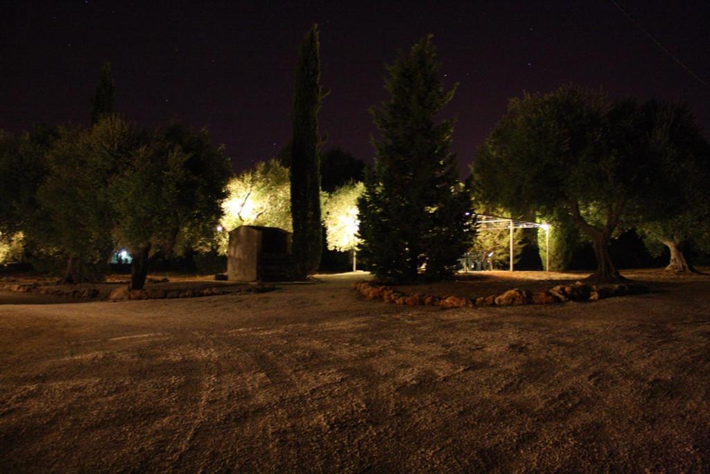 Photo 38