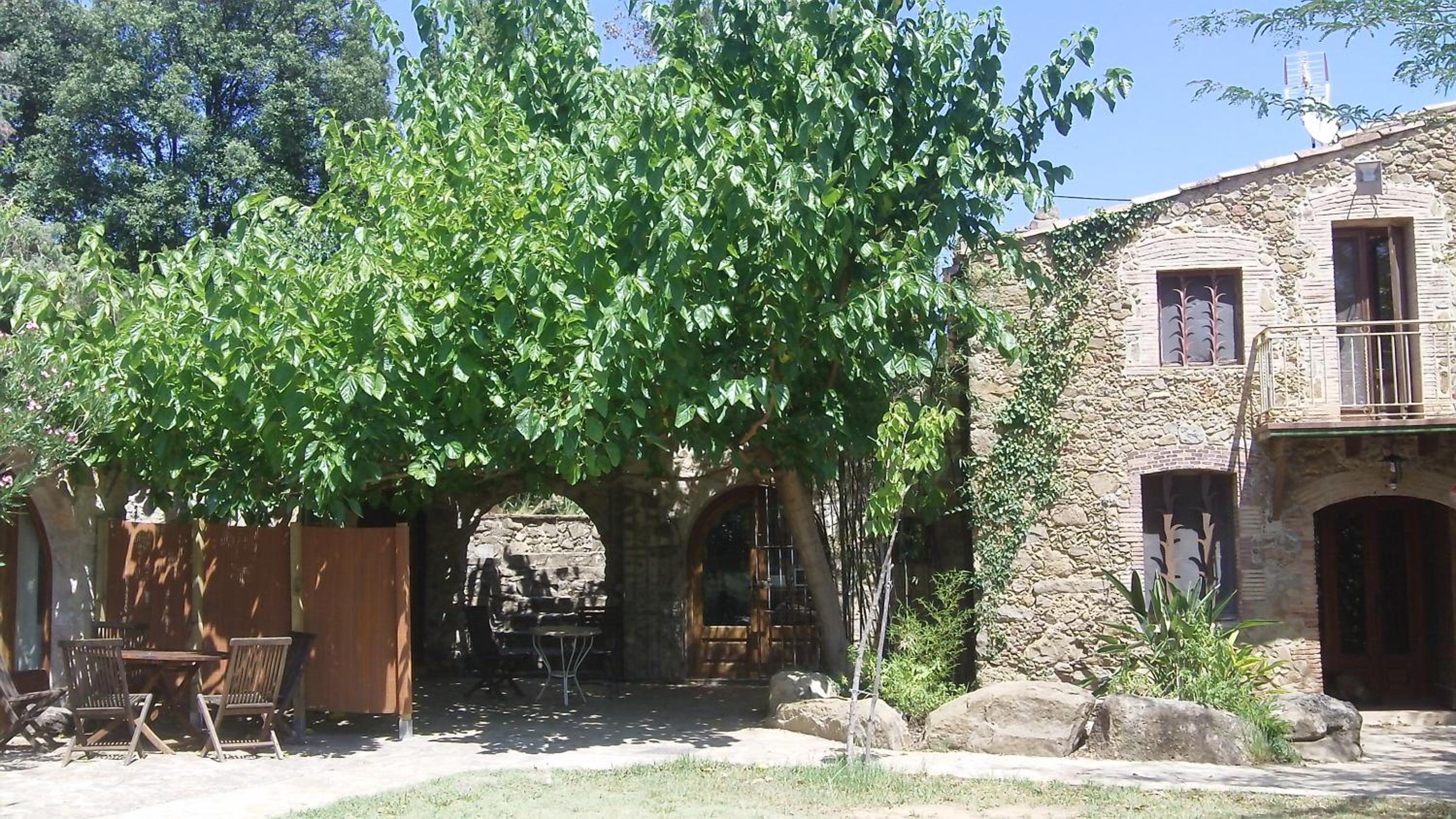 Photo 35