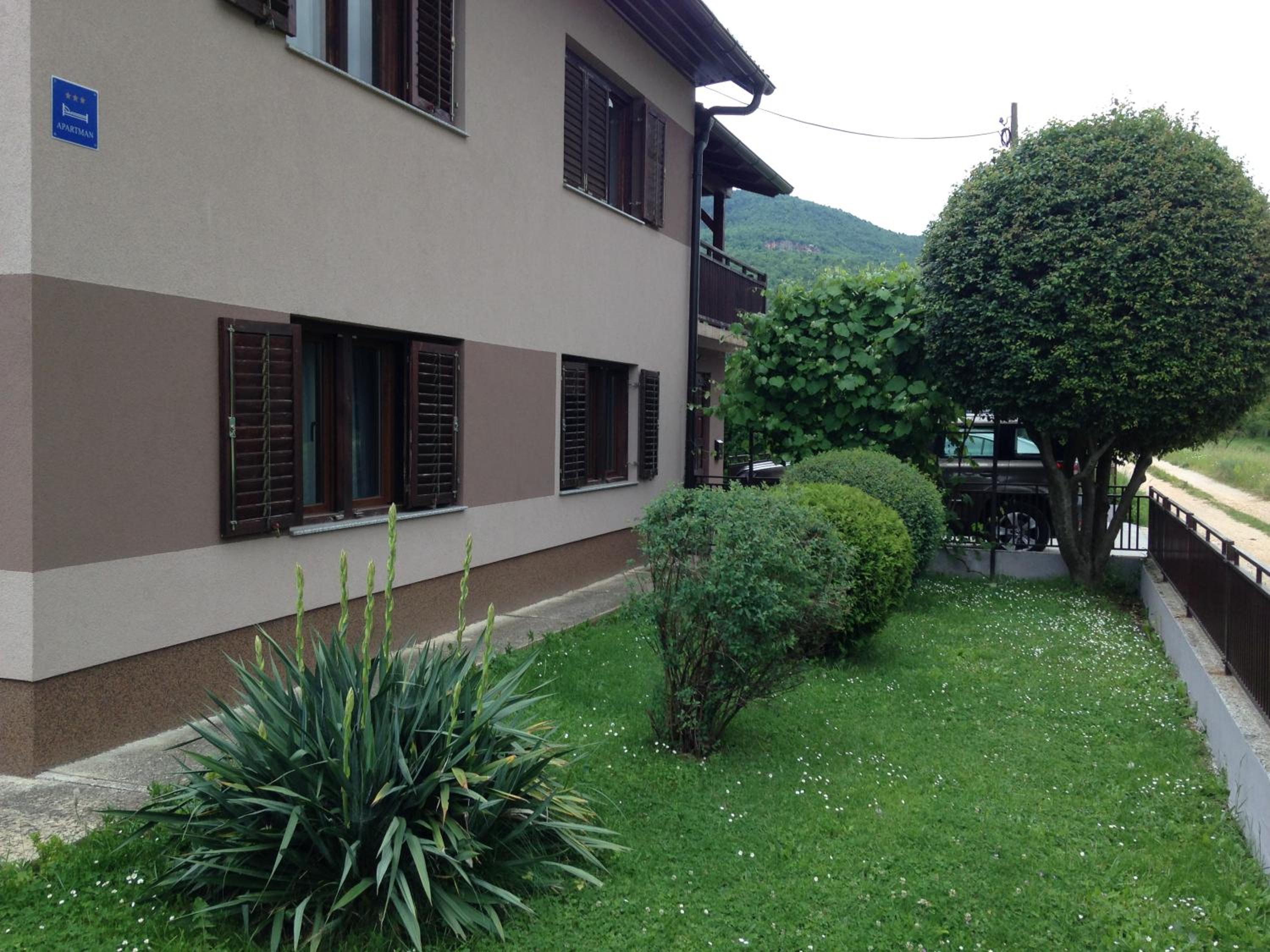 Photo 51