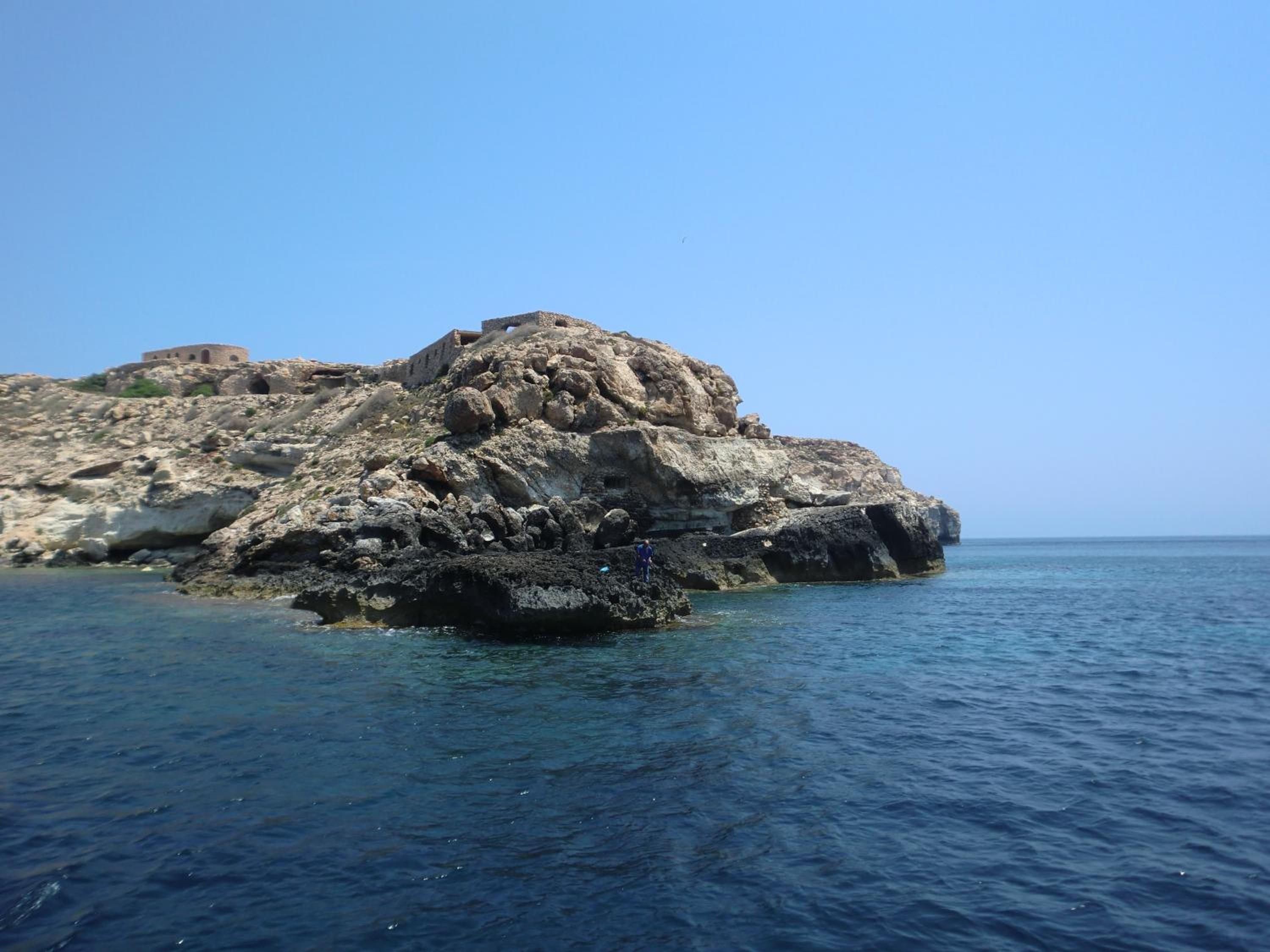 Photo 41