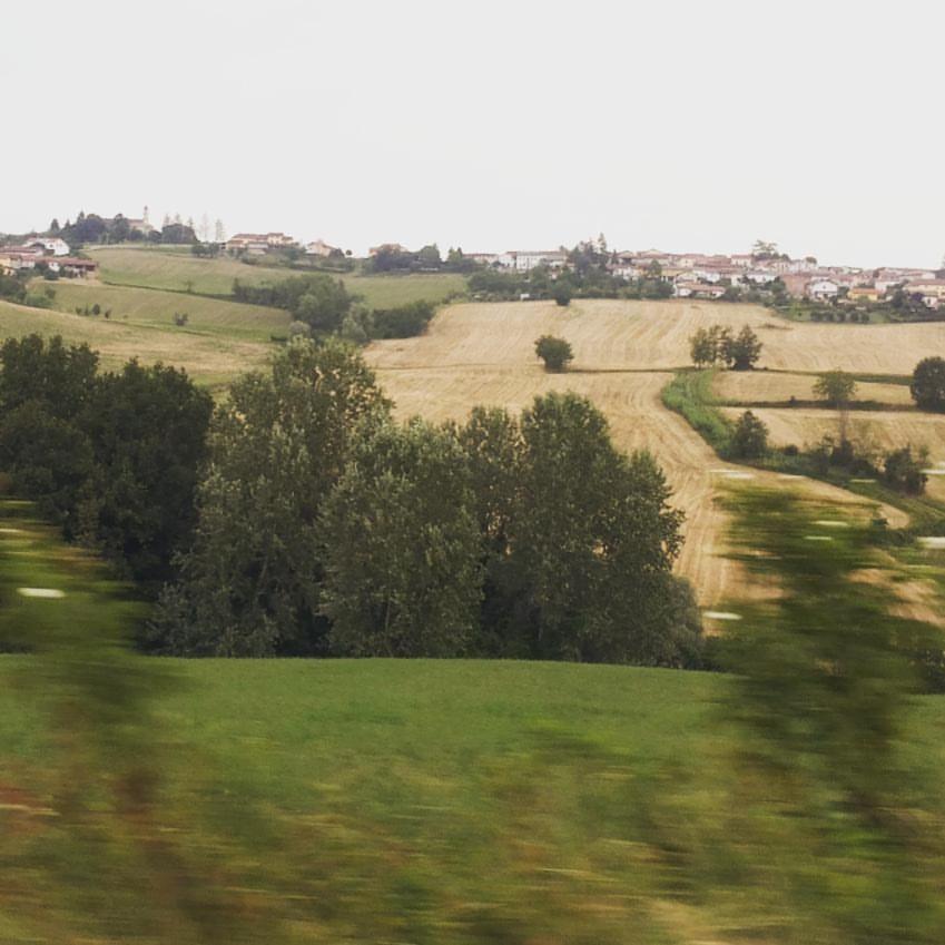Photo 42