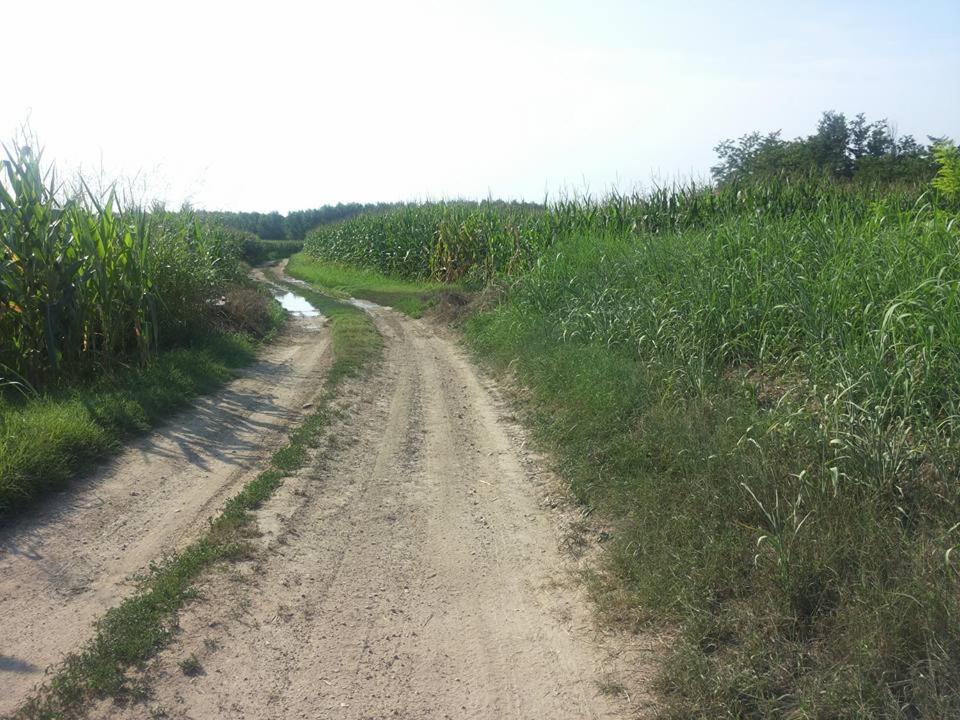 Photo 49