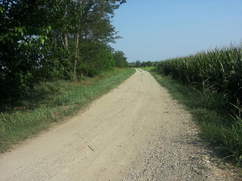 Photo 47