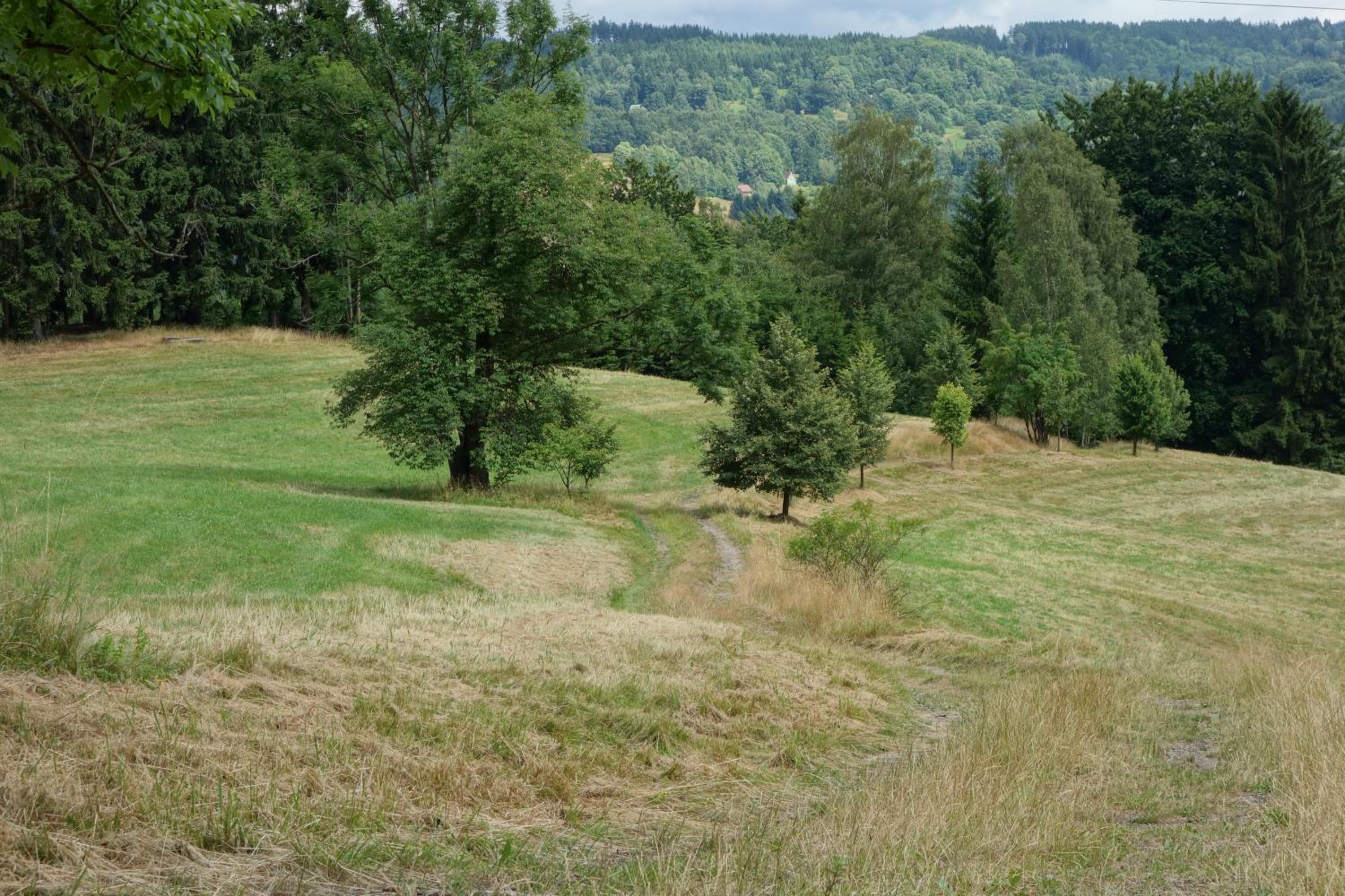 Photo 29