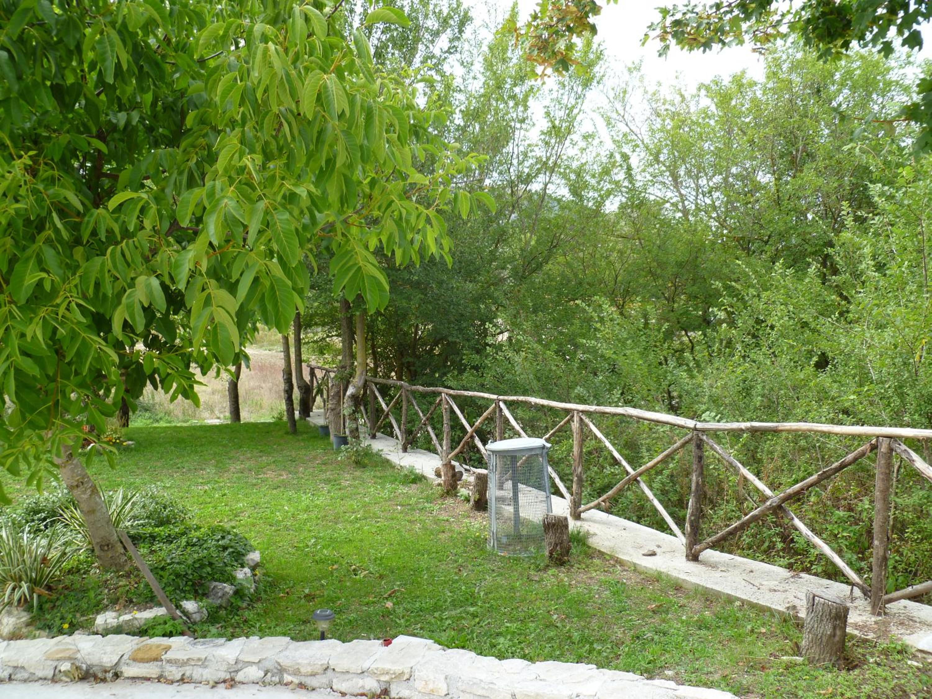 Photo 20