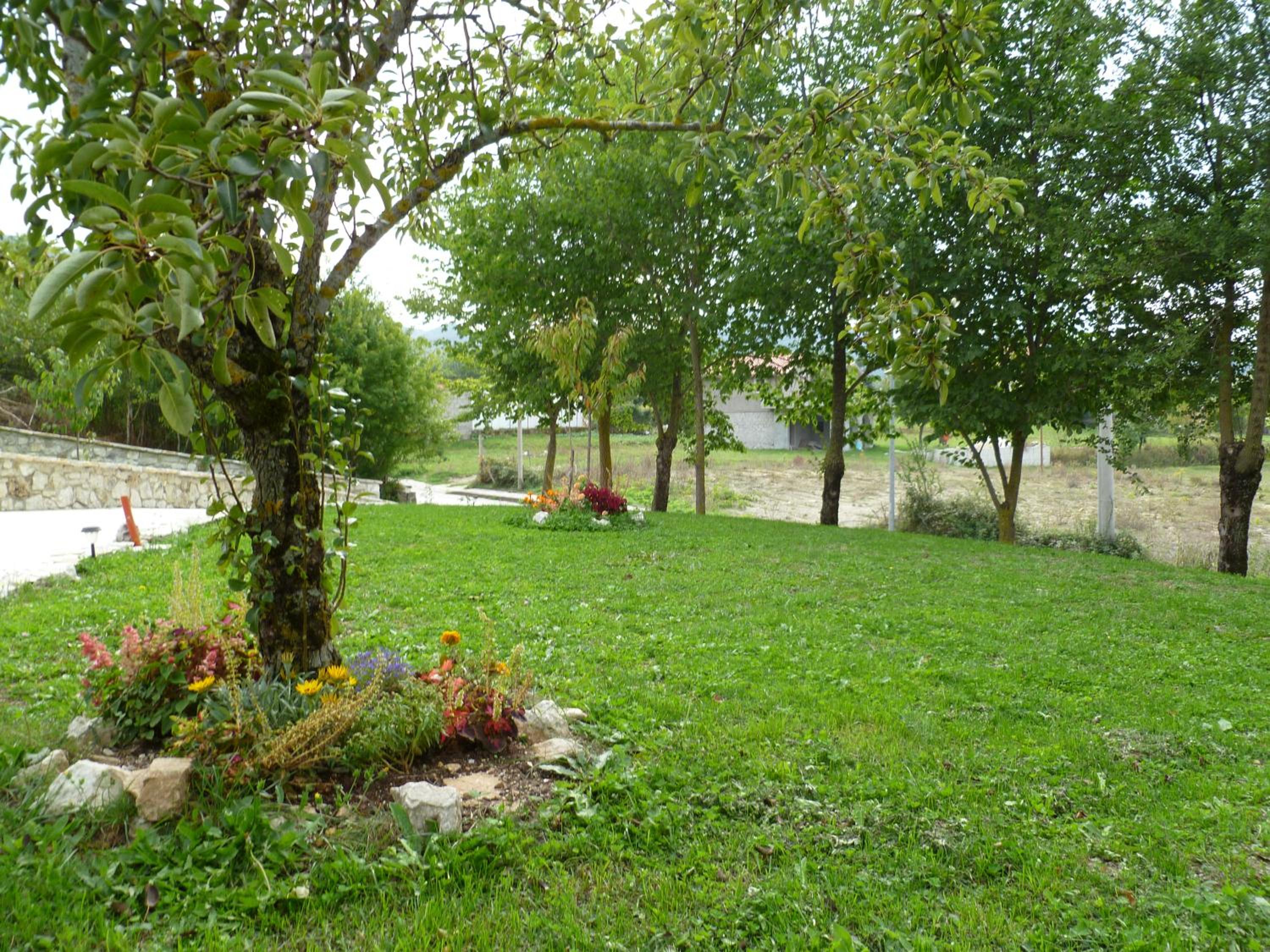 Photo 24
