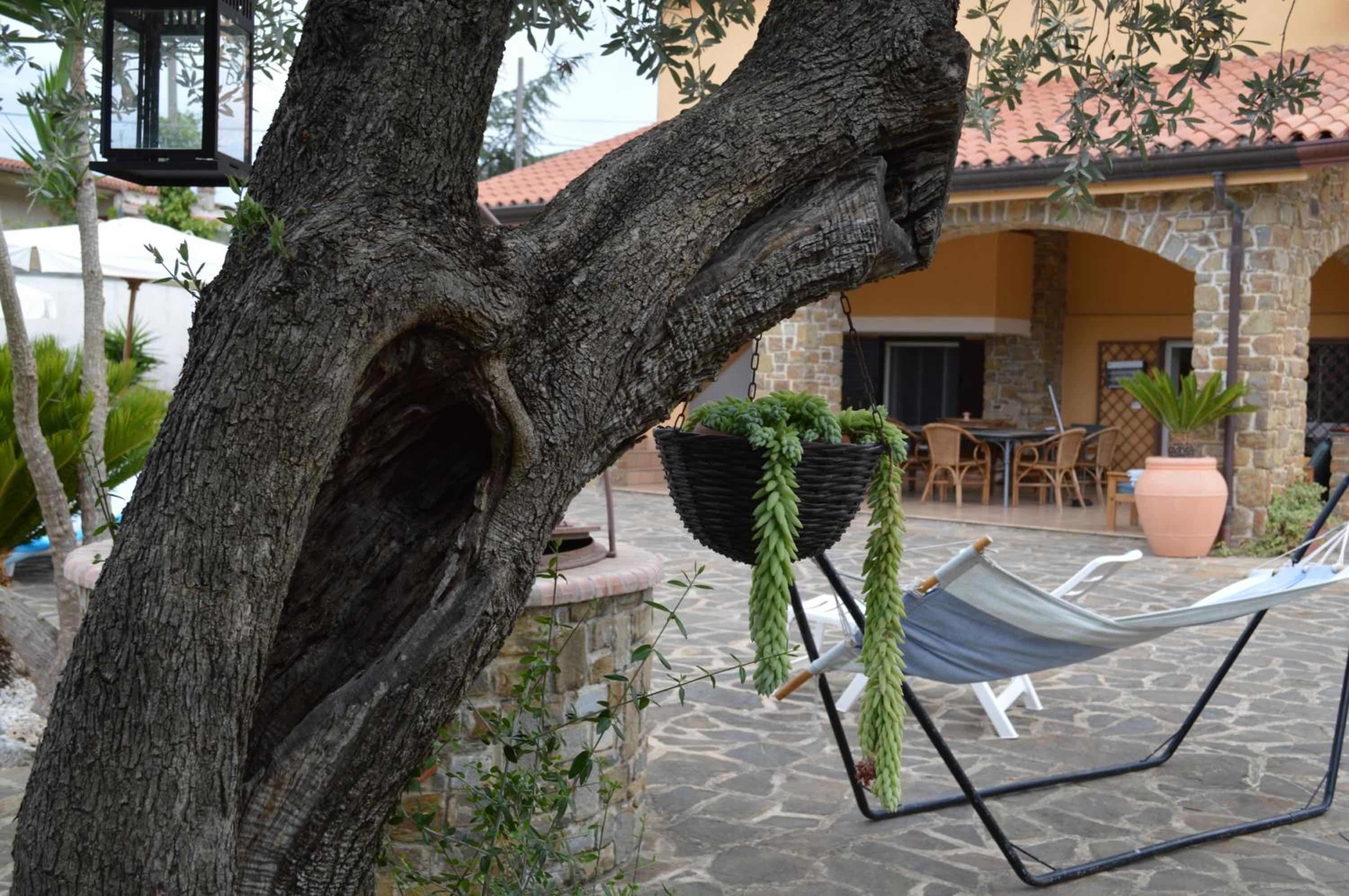 B&B Fasolino