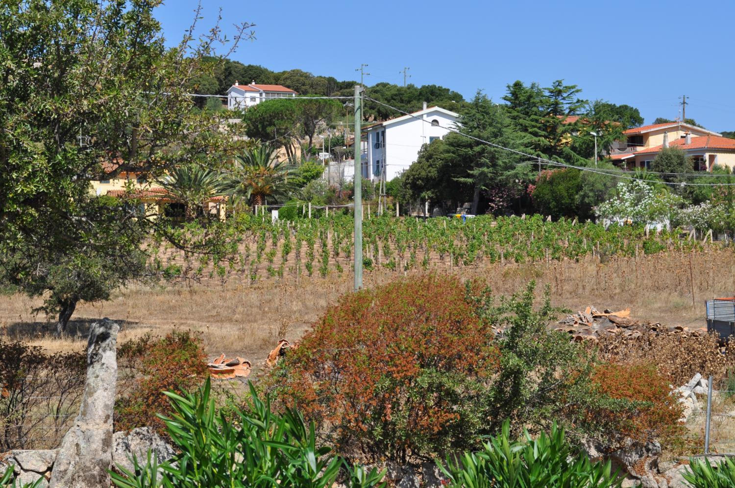 Photo 30