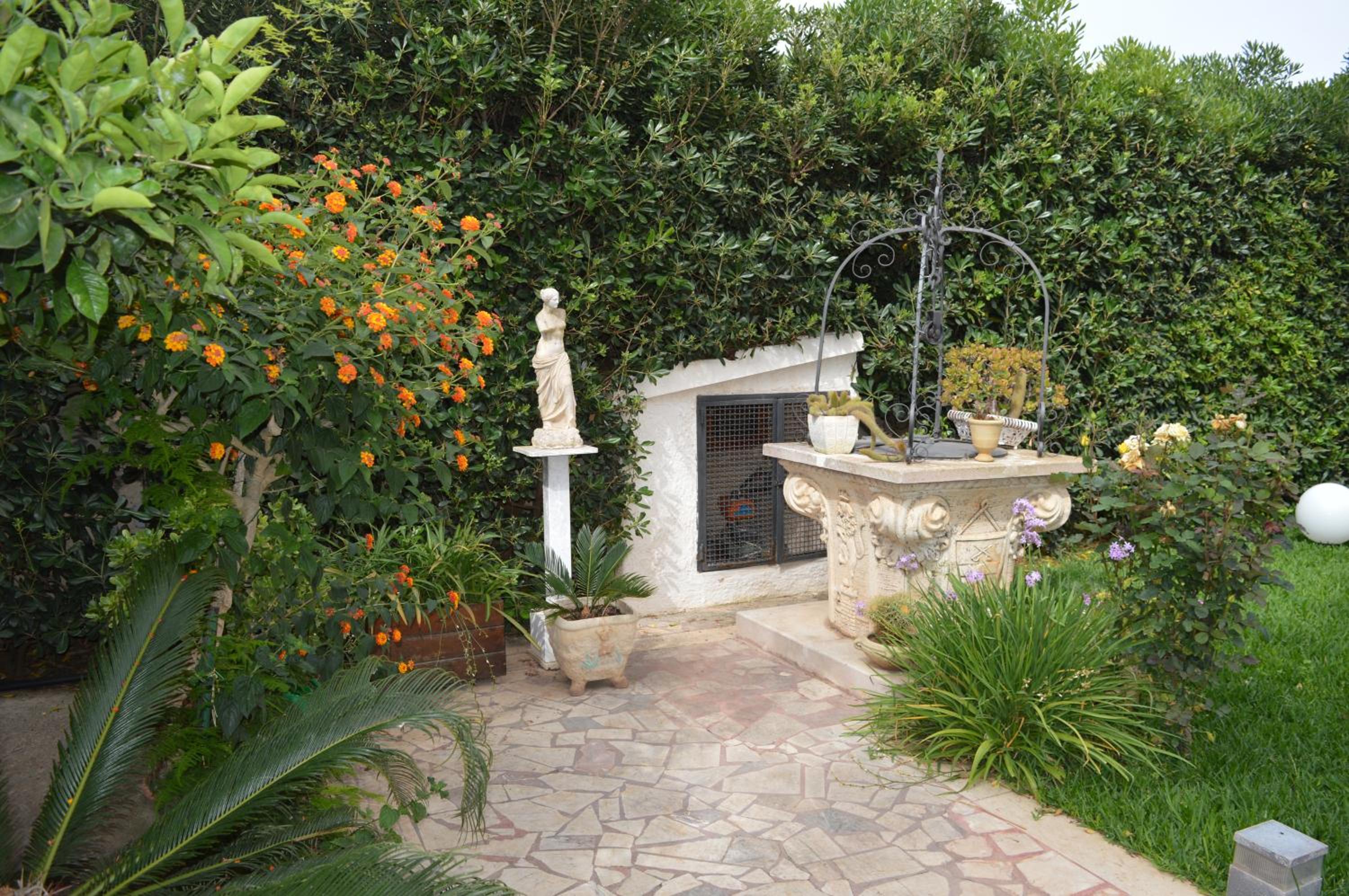 Photo 24