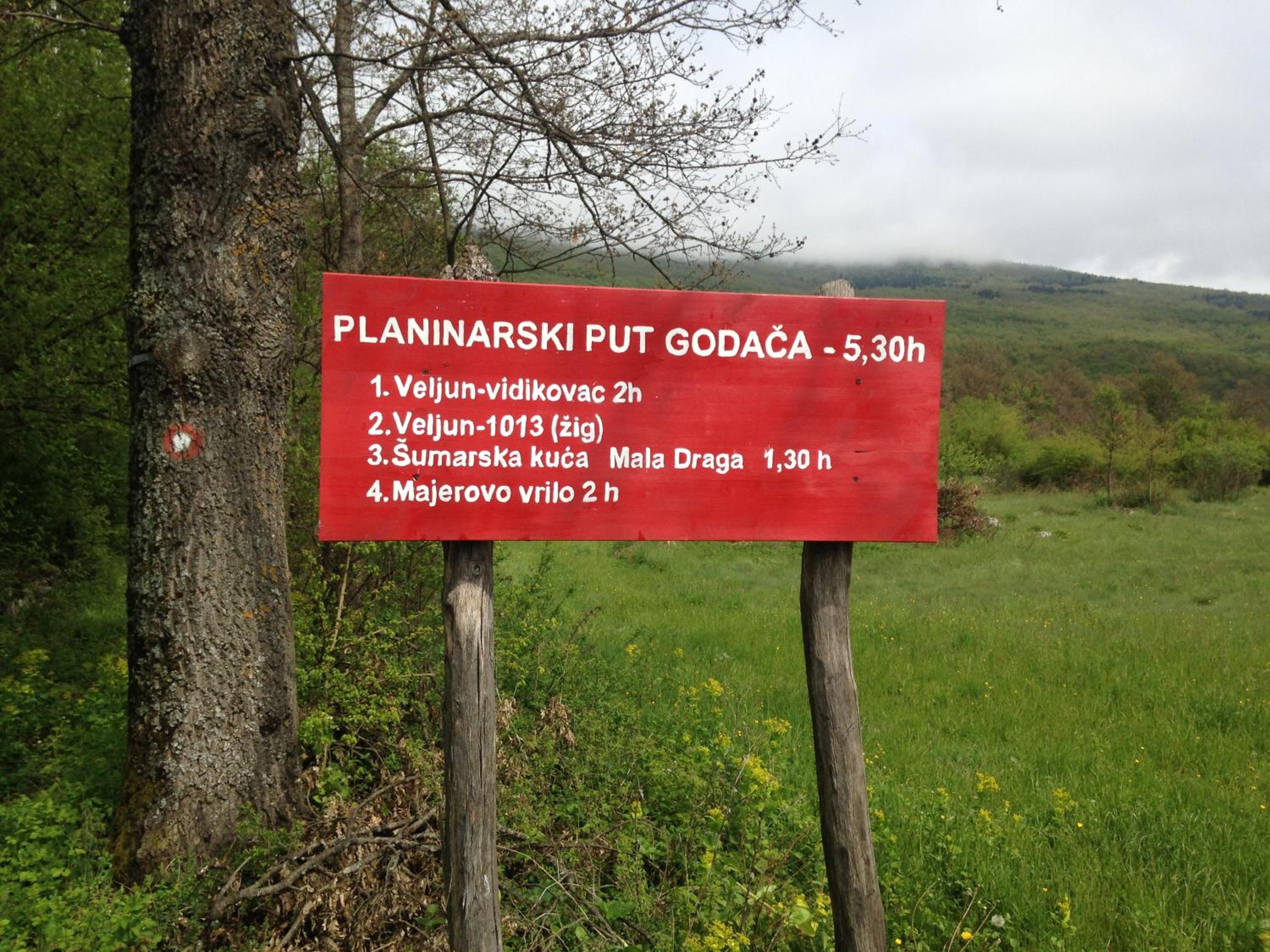 Photo 47
