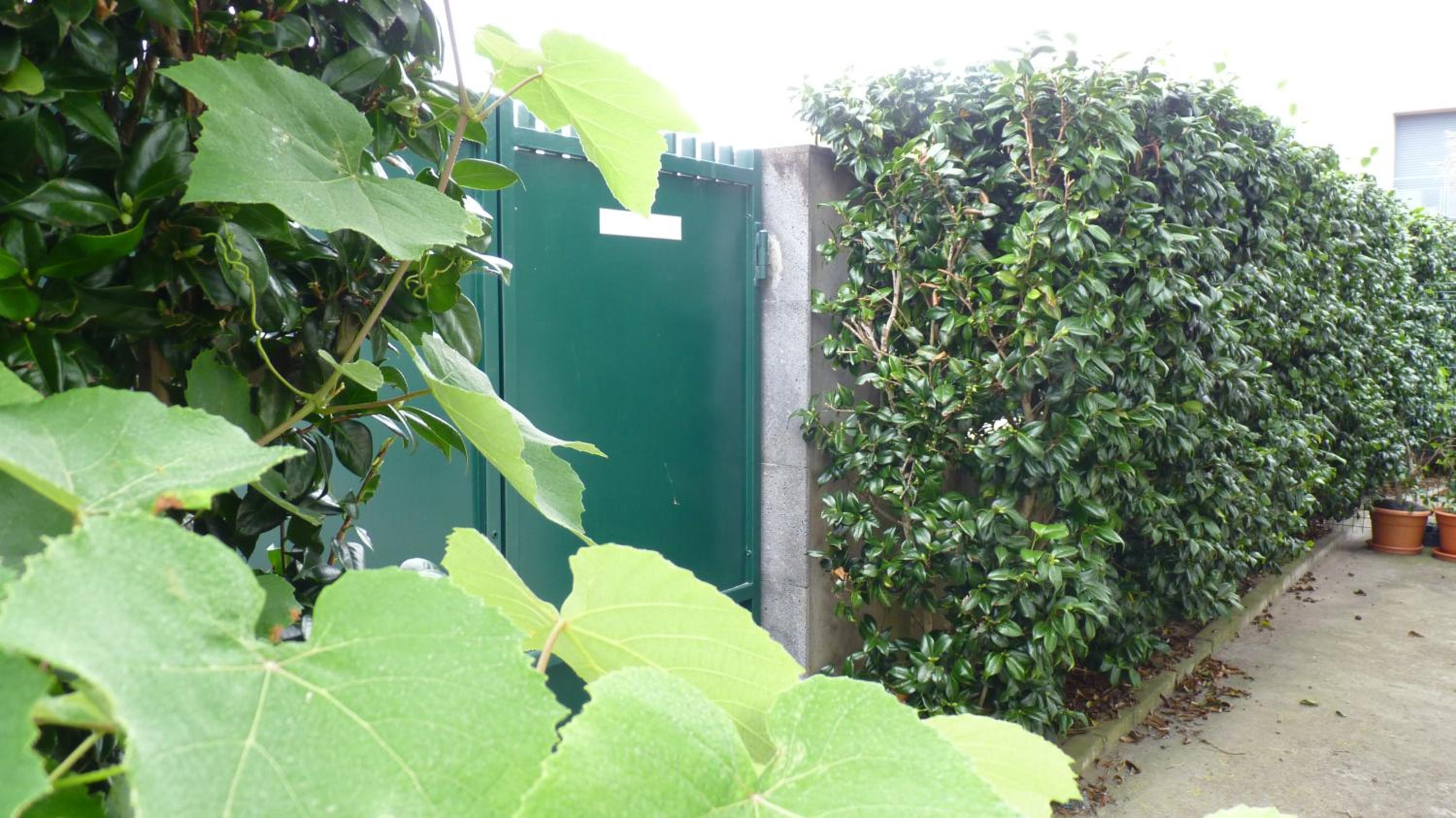 Photo 43 sur 57 de AZORES HOLIDAYS HOUSE -B&B - Suites - Self Check-in KEYBOARD