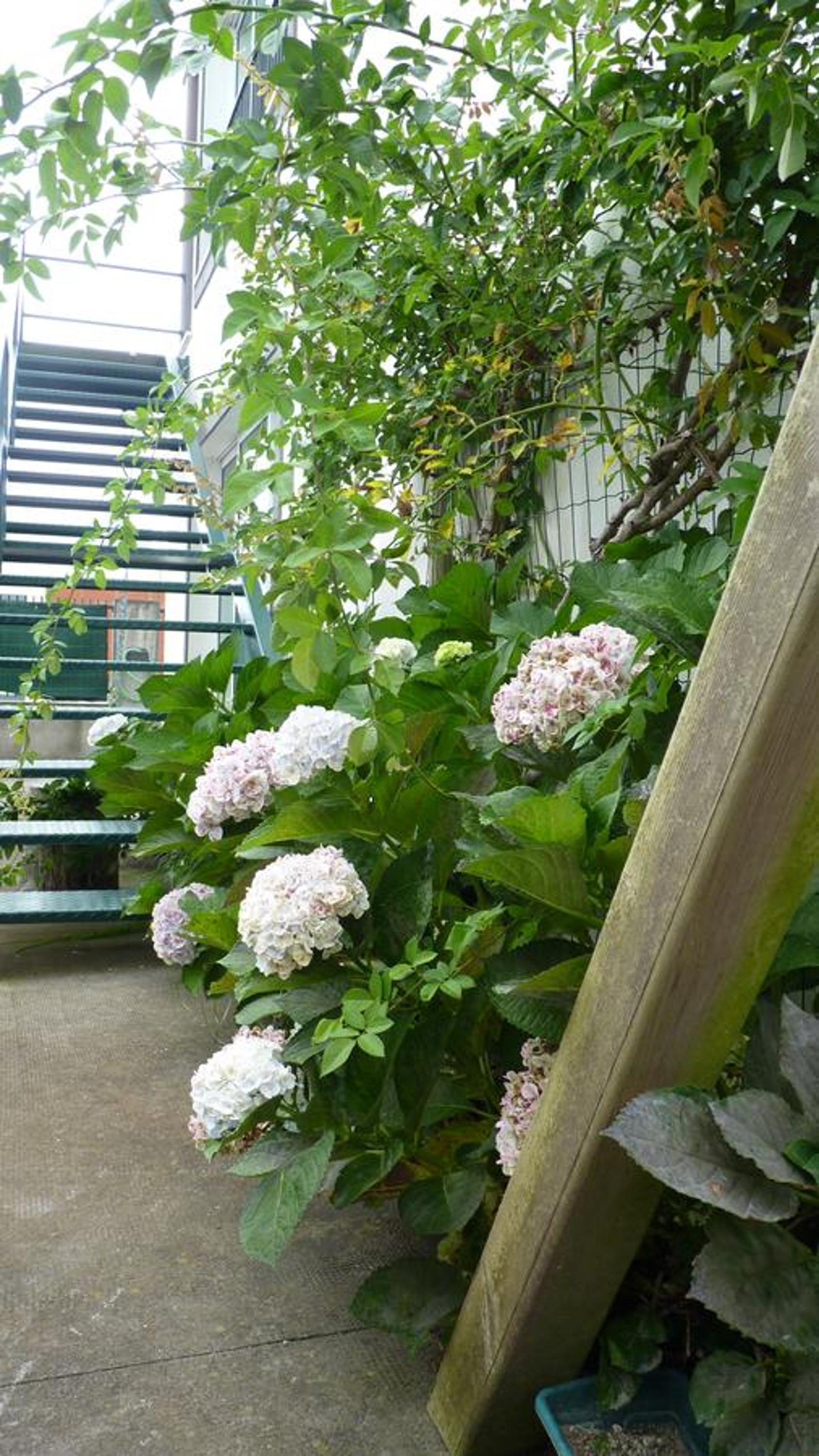 Photo 41 sur 57 de AZORES HOLIDAYS HOUSE -B&B - Suites - Self Check-in KEYBOARD