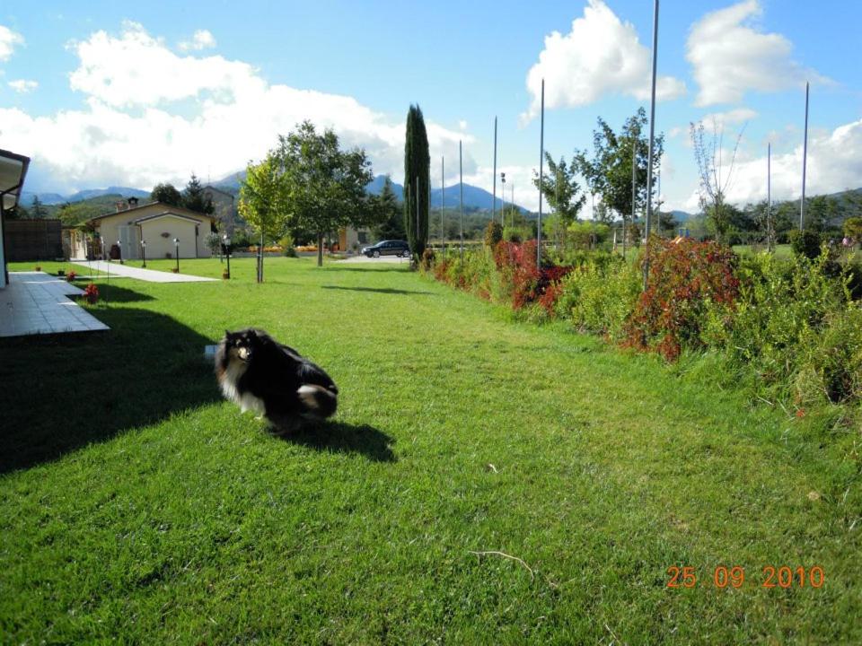 Agriturismo Le Due Arcate view 3