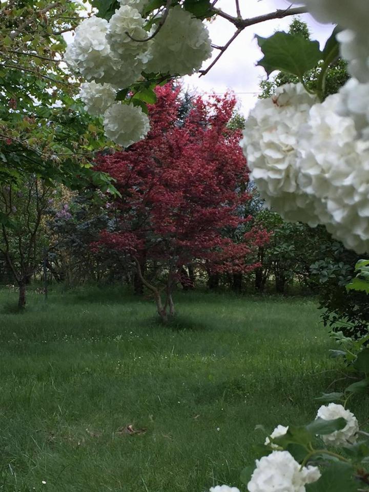 Photo 47