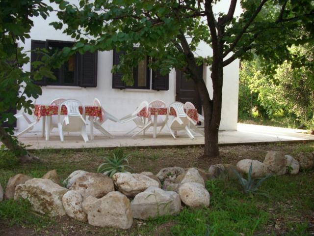 Dal Cavallaro view 3