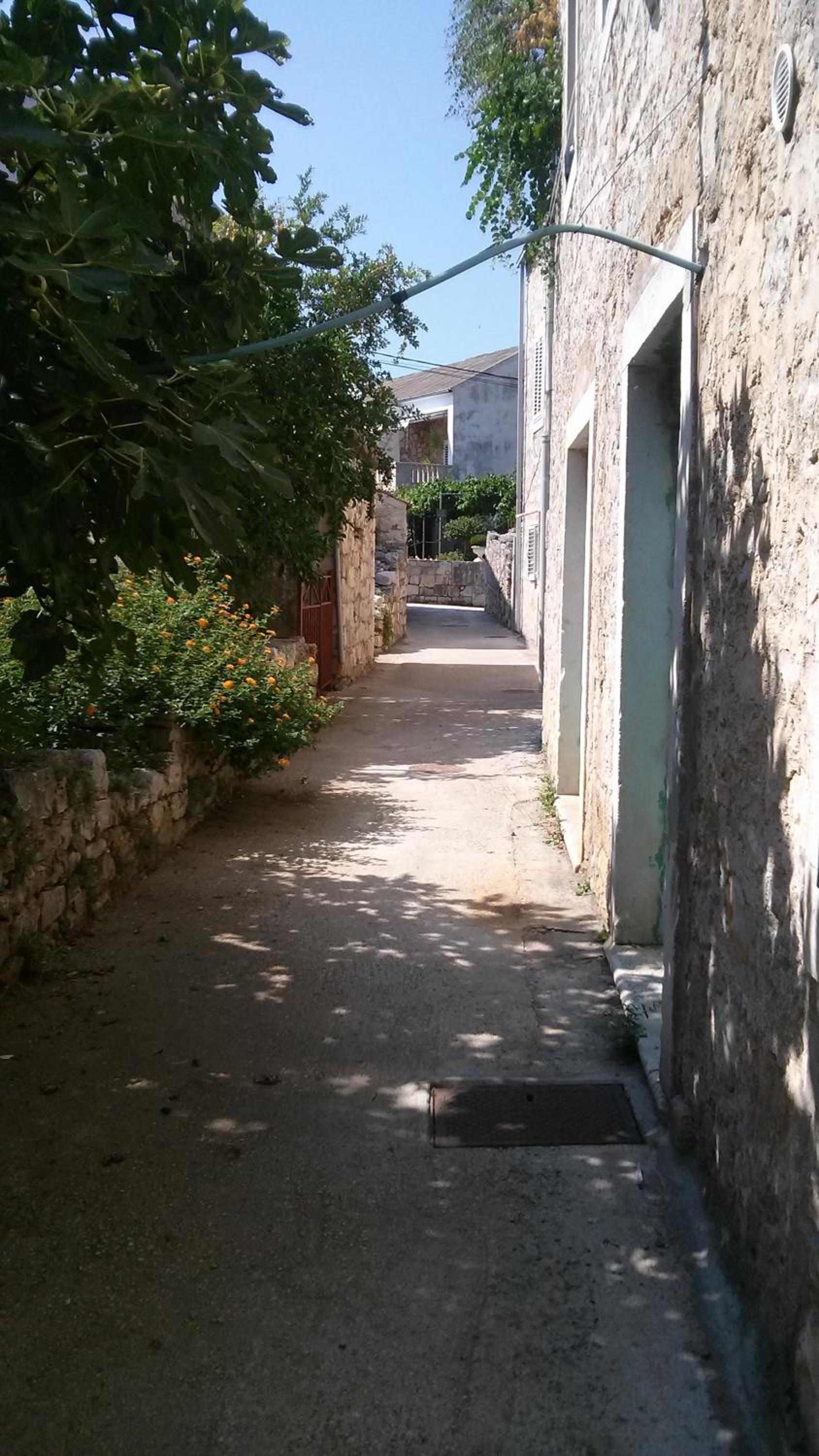 Photo 52