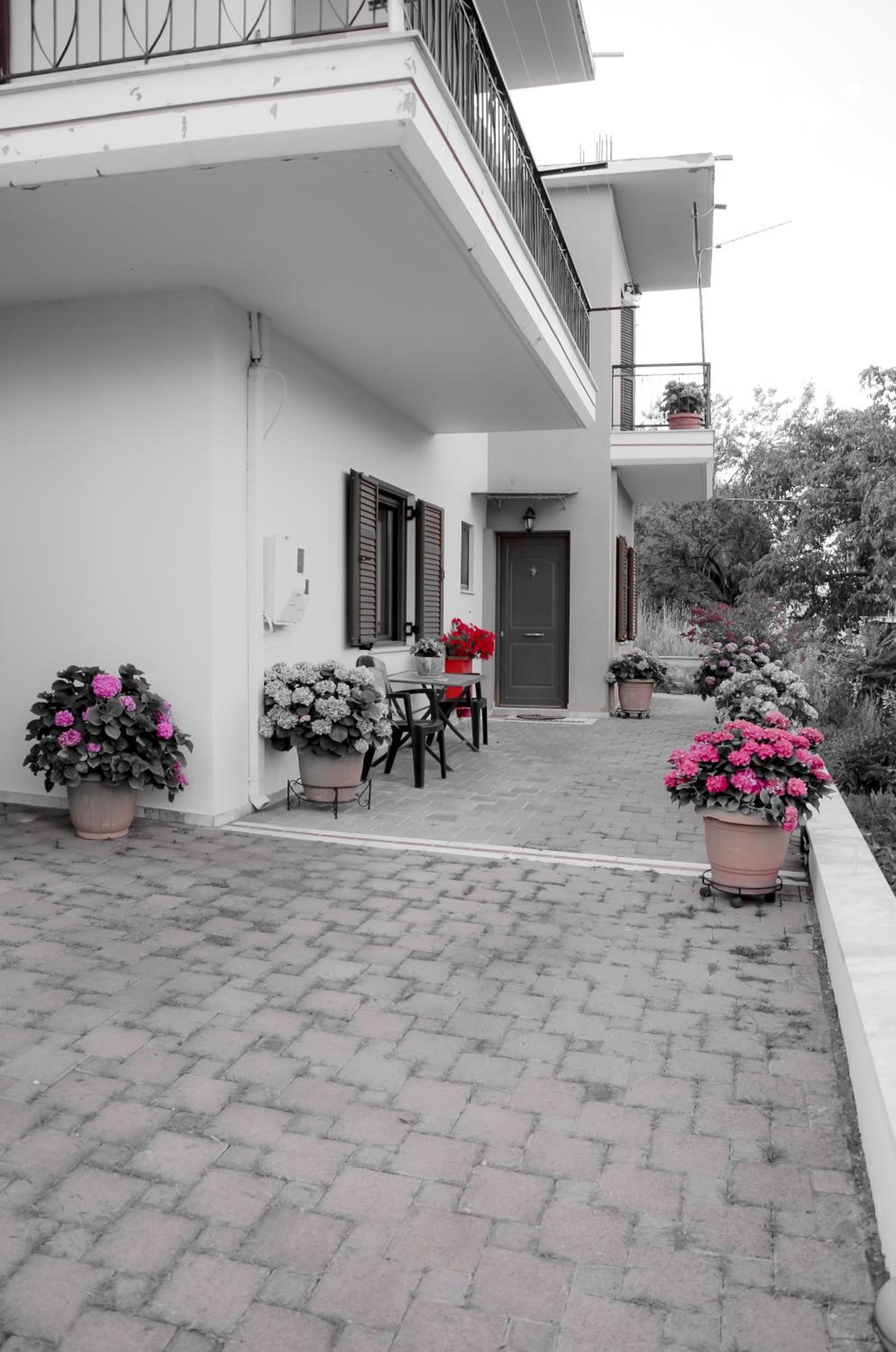 Photo 8