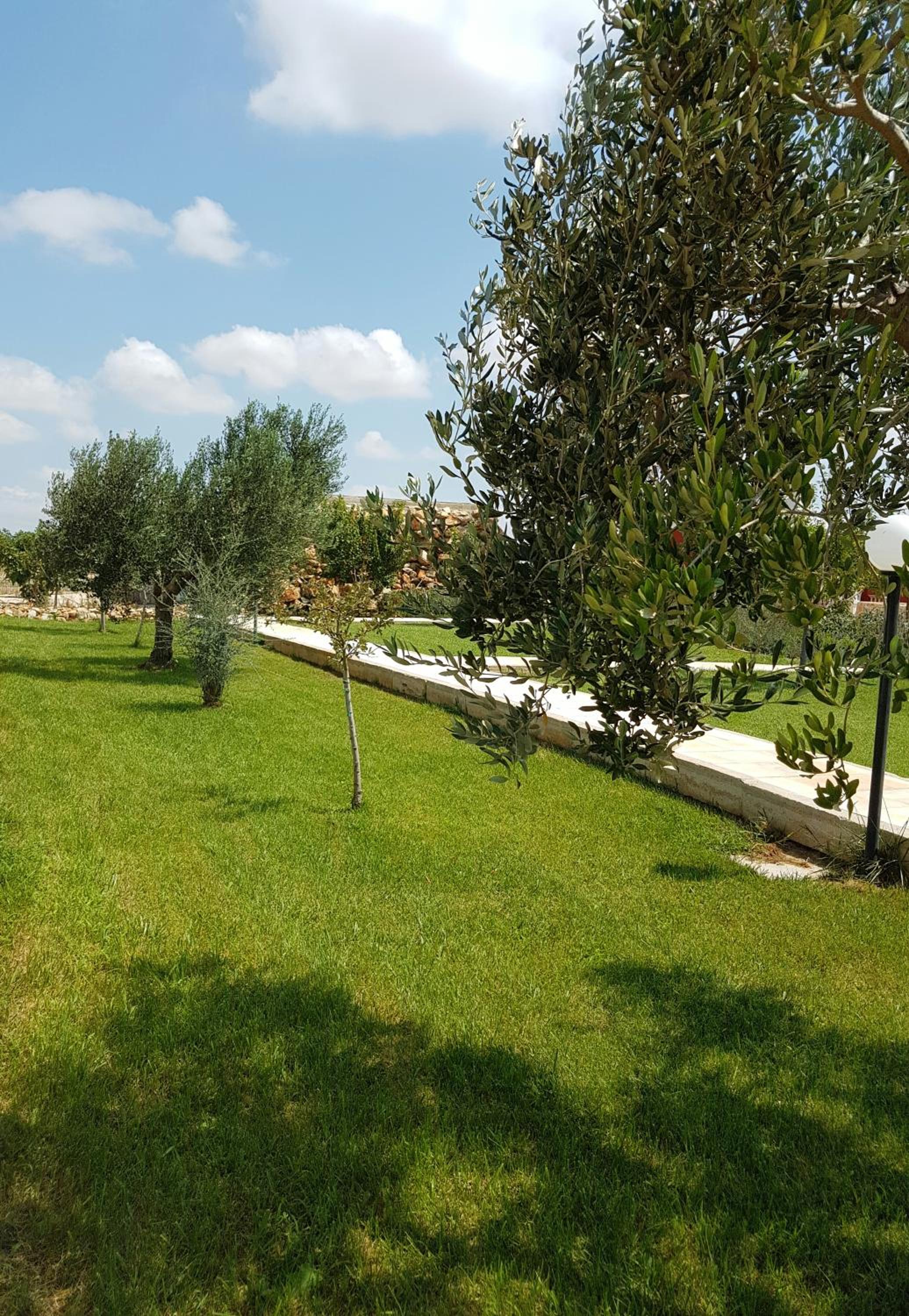 Tenuta Casine Vittorio