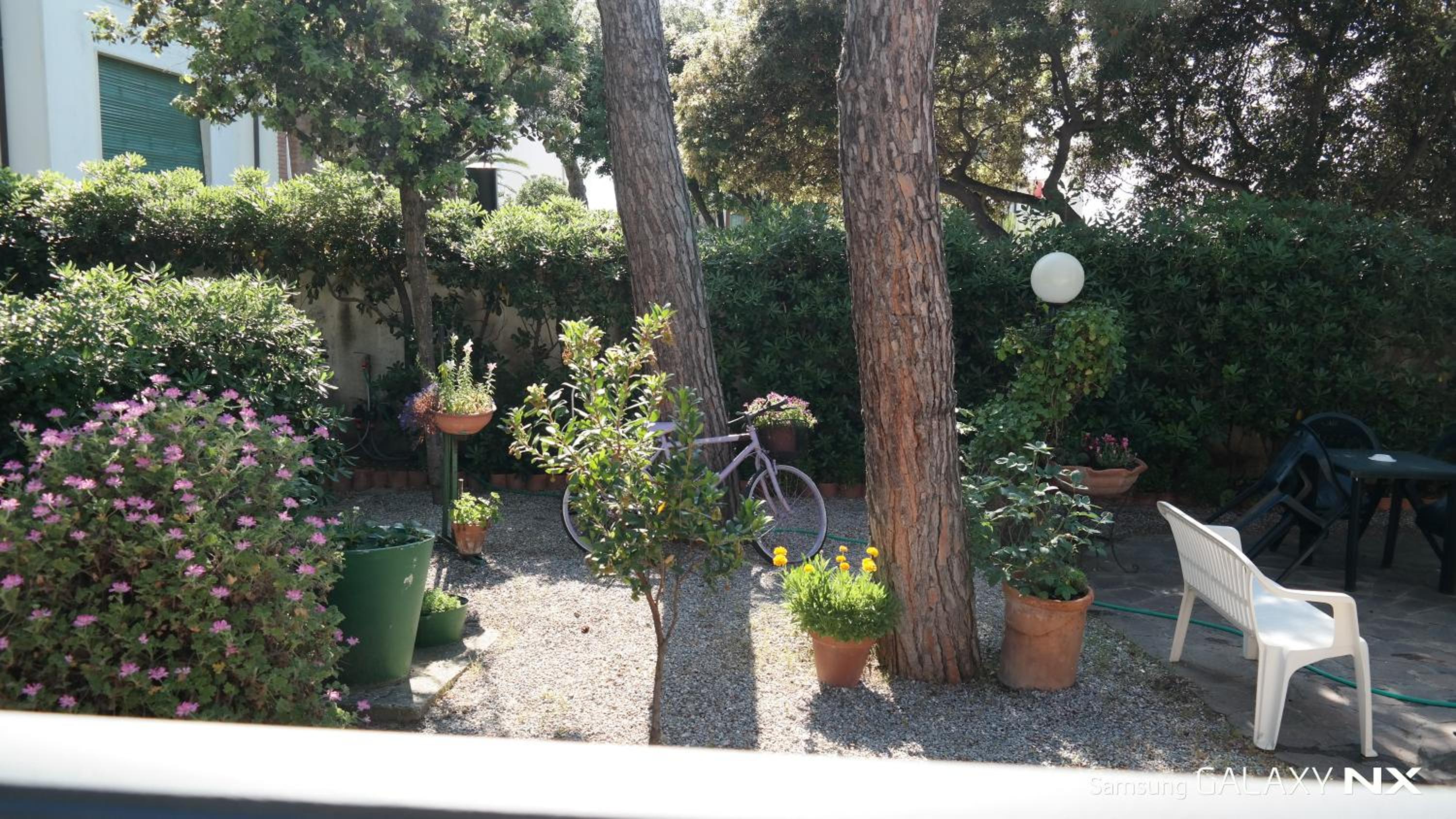 Photo 26