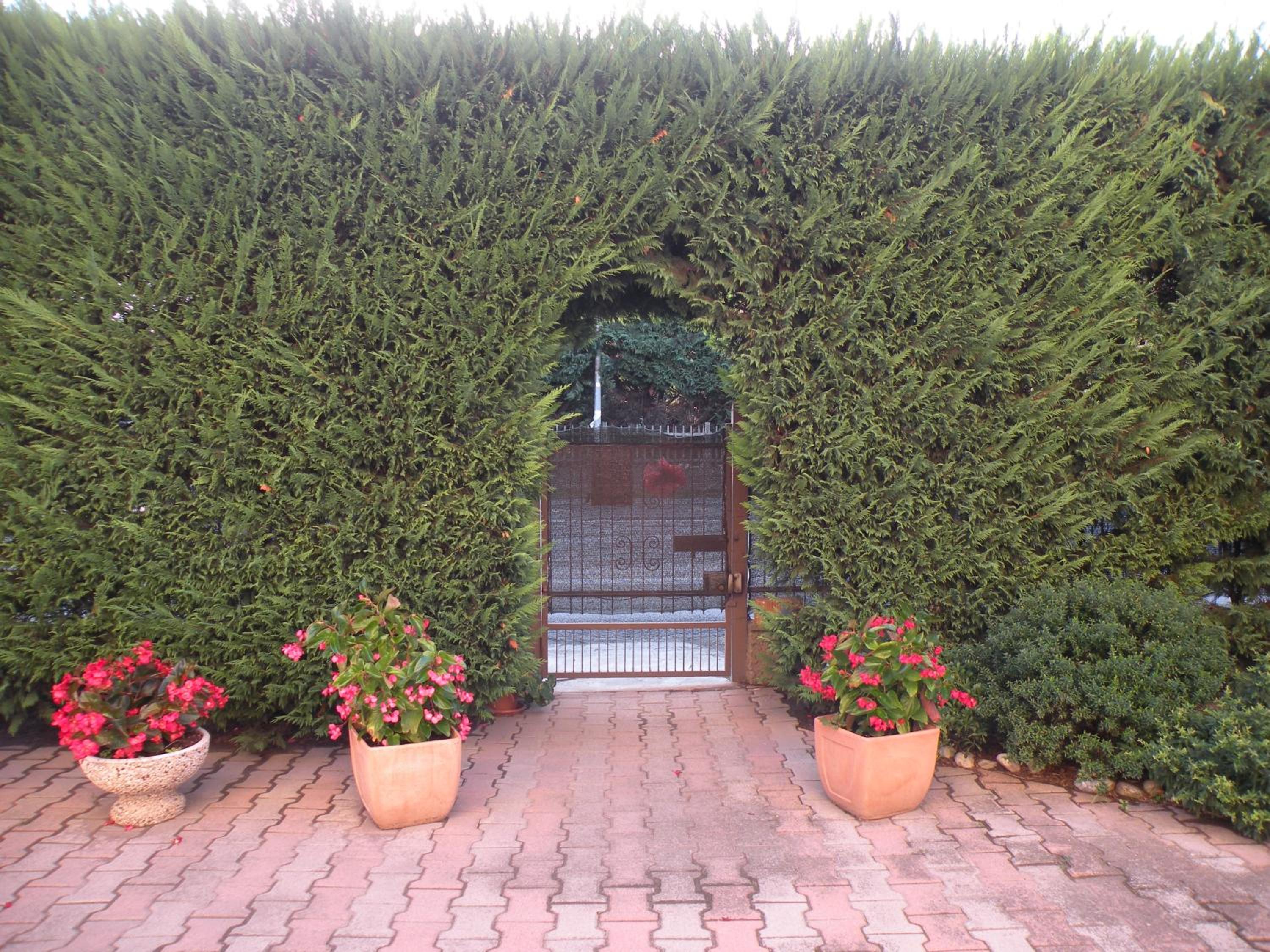 Photo 26