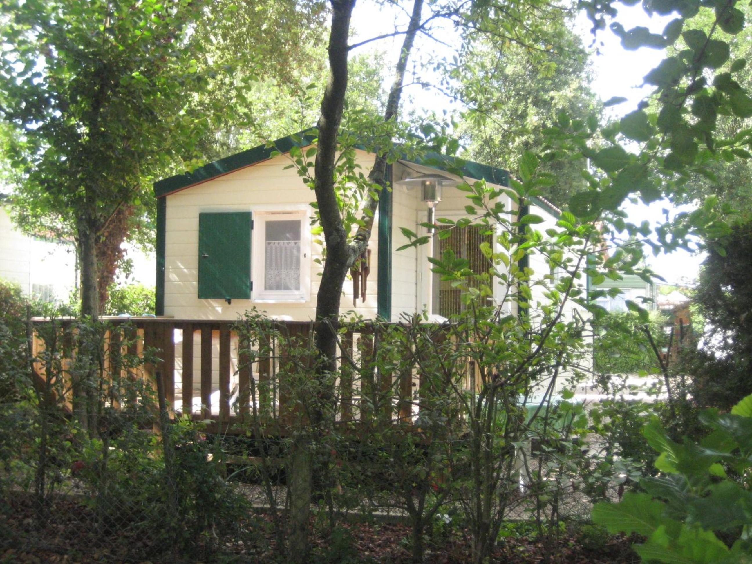 Photo 48