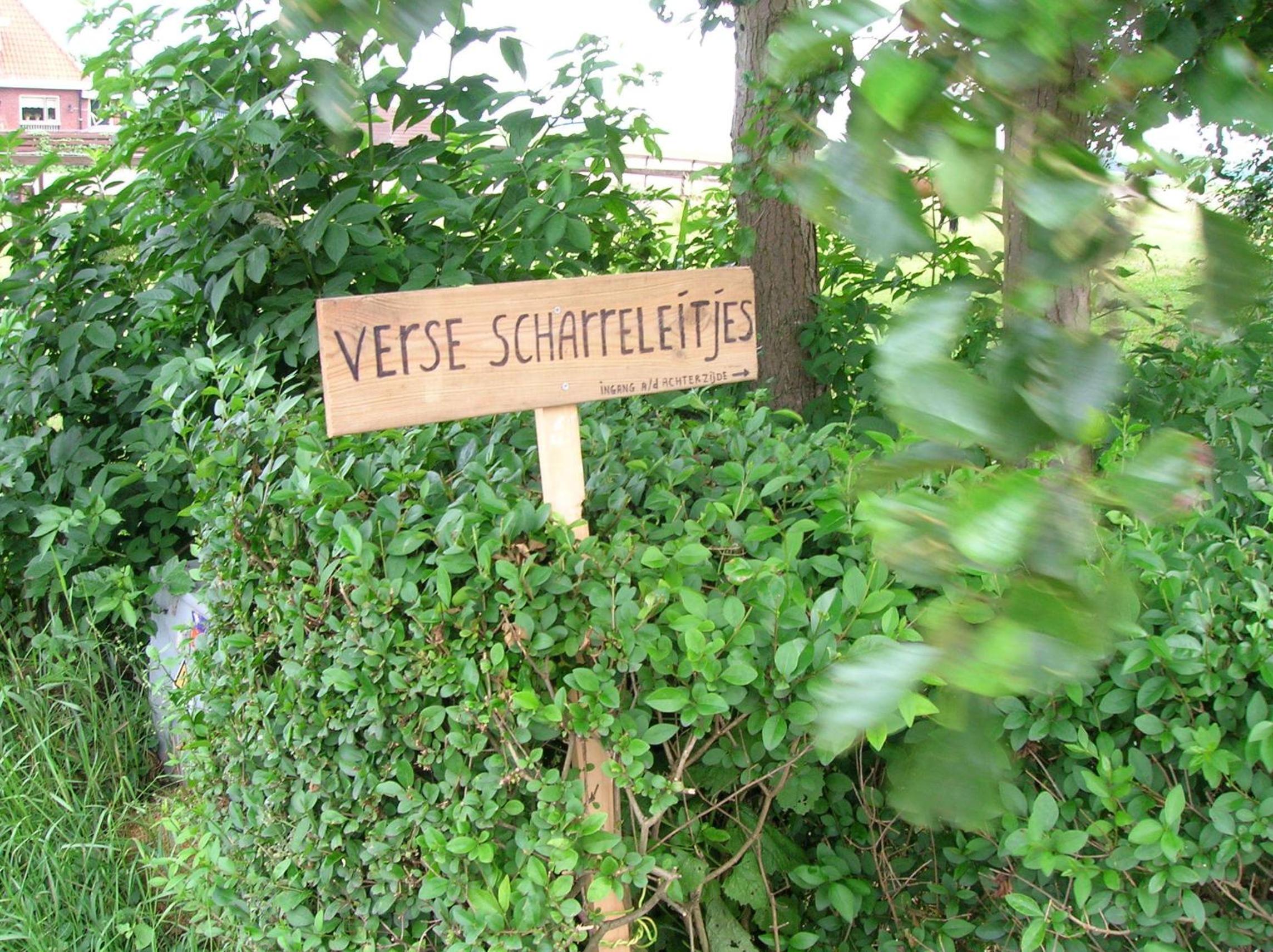 Photo 31