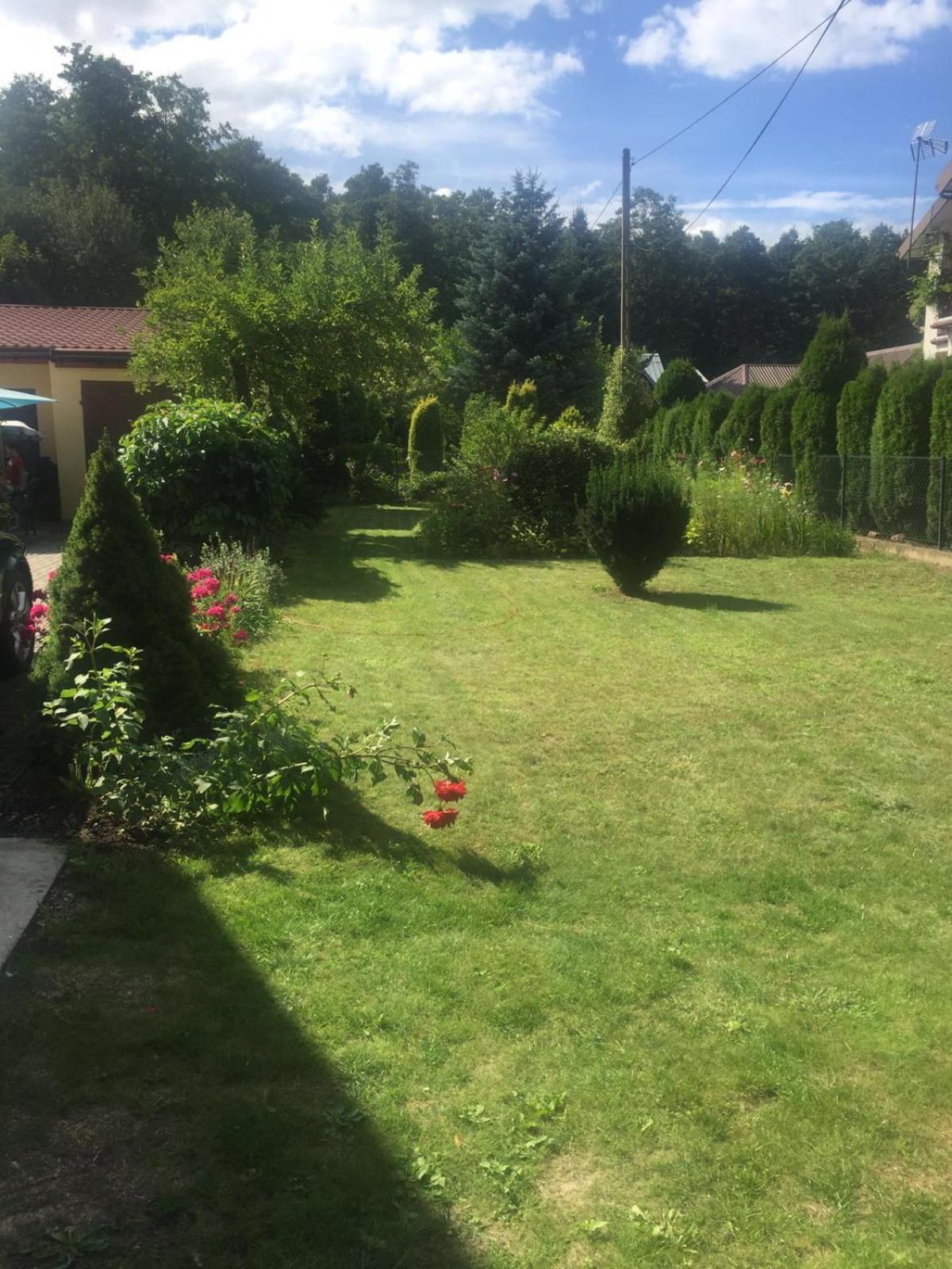 Photo 39