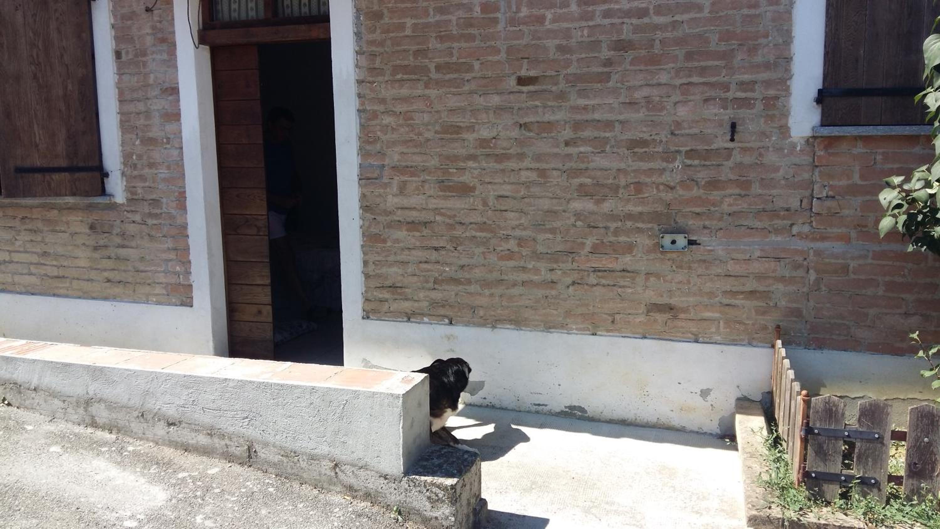 Photo 32