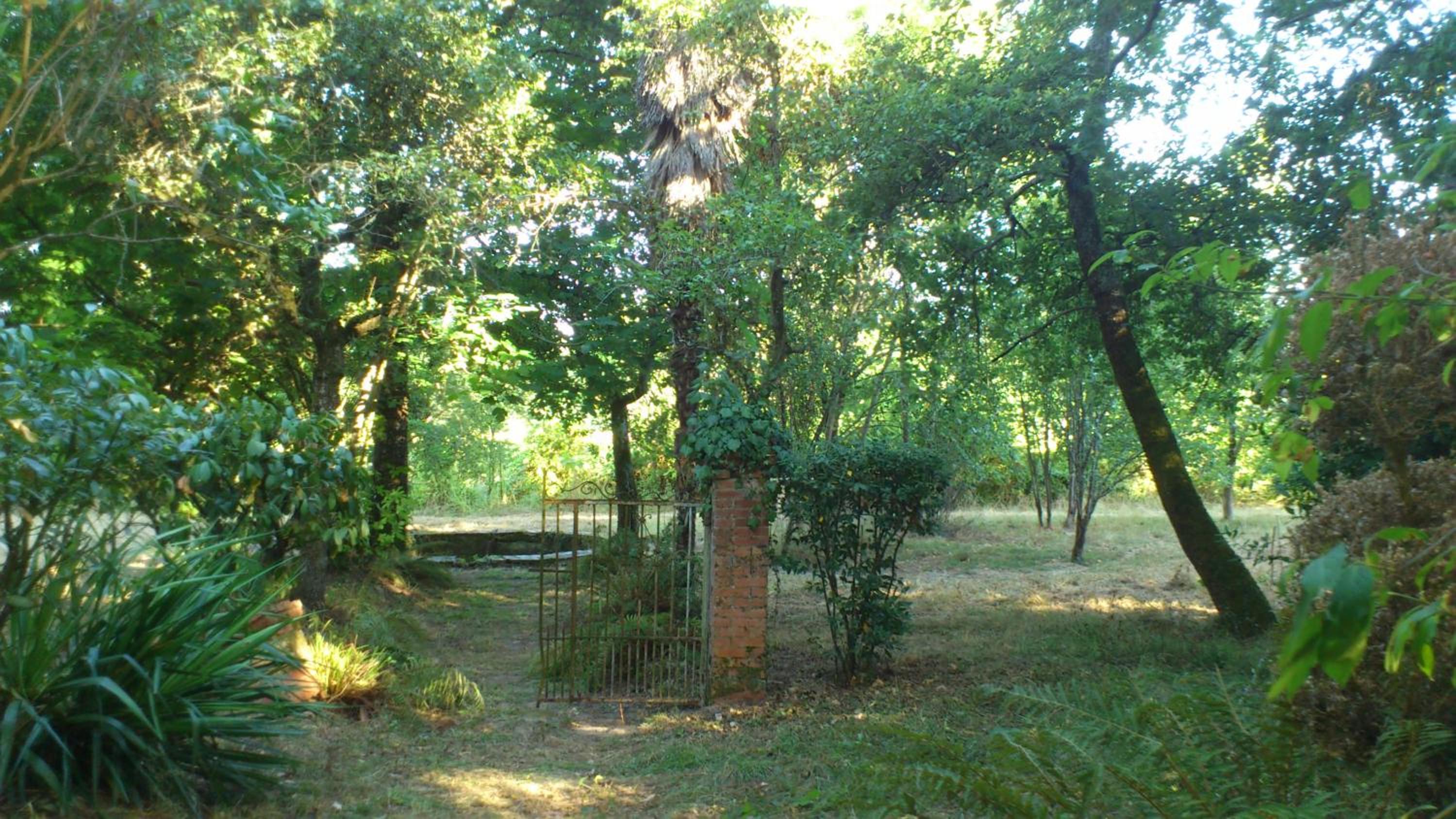 Photo 48