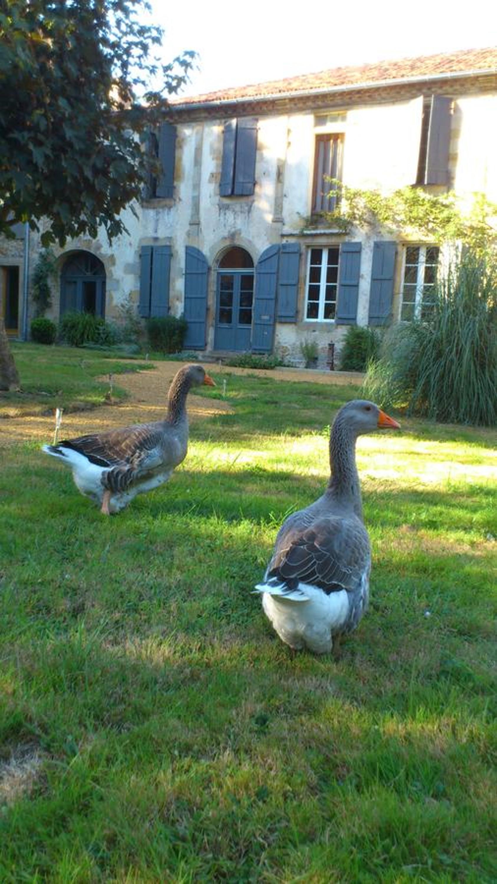 Photo 43