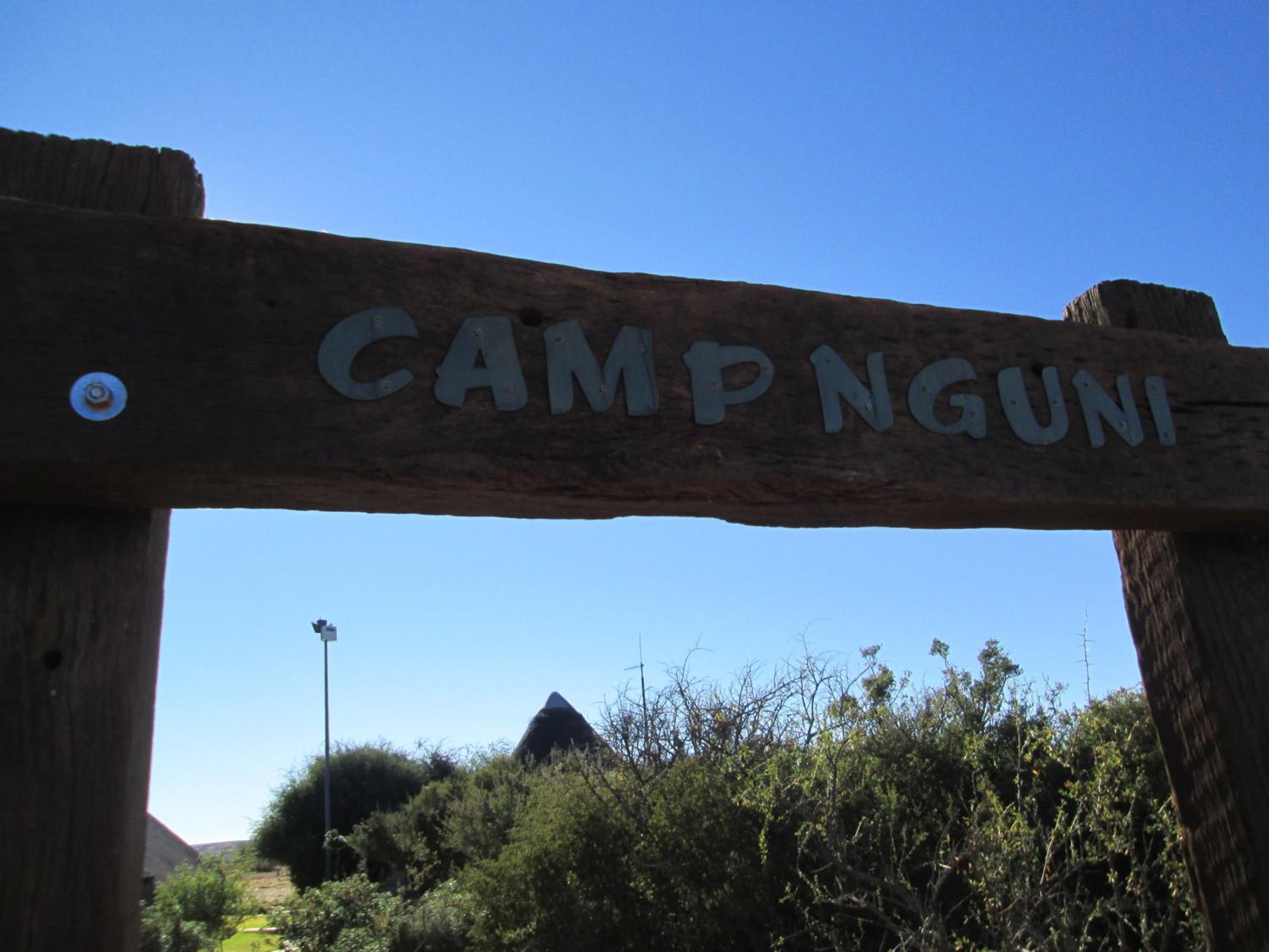 Camp Nguni