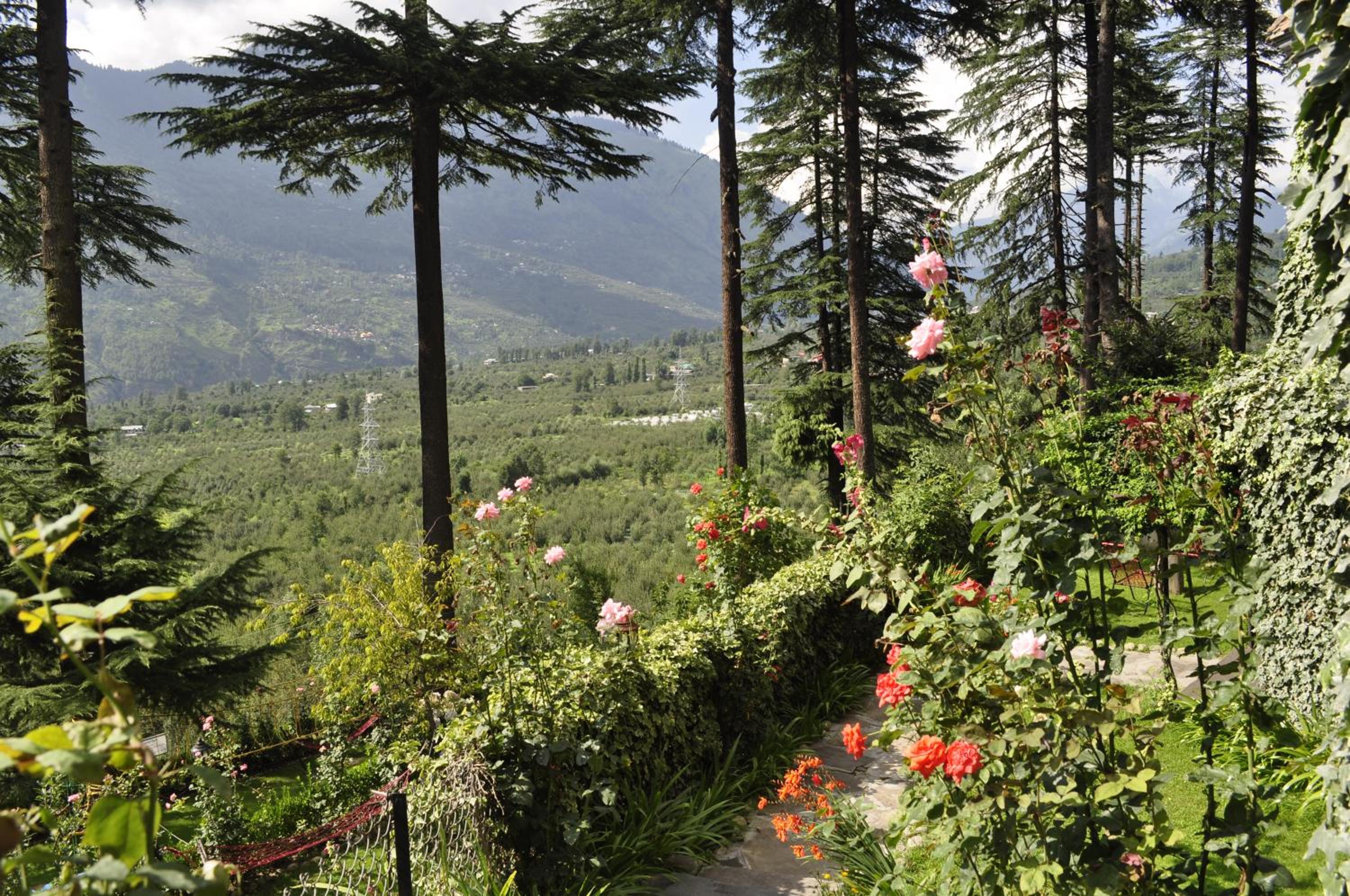 garden