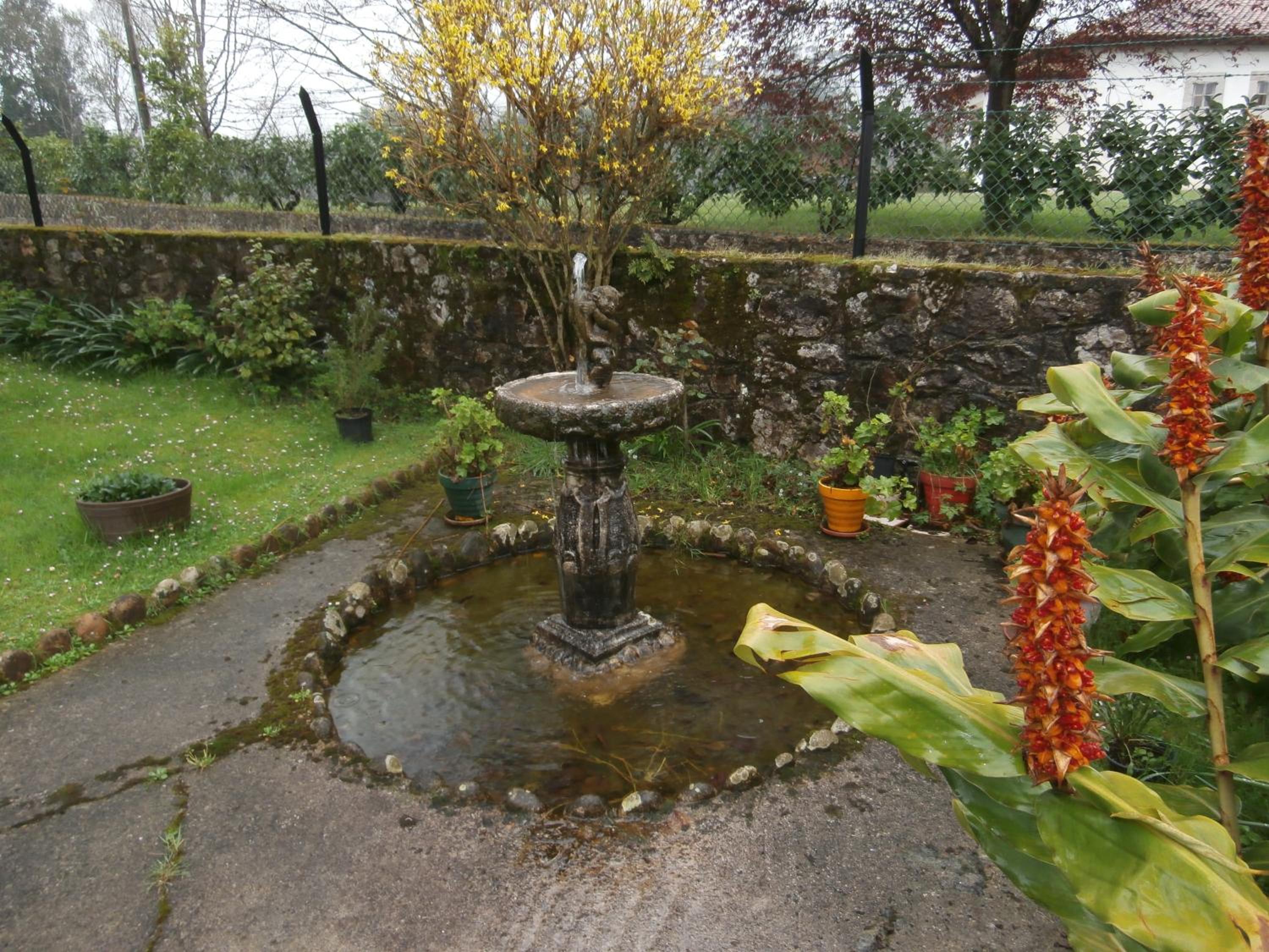 Photo 35