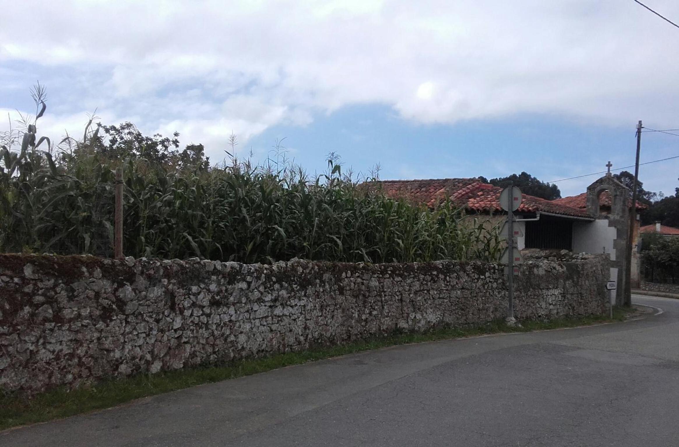 Photo 30