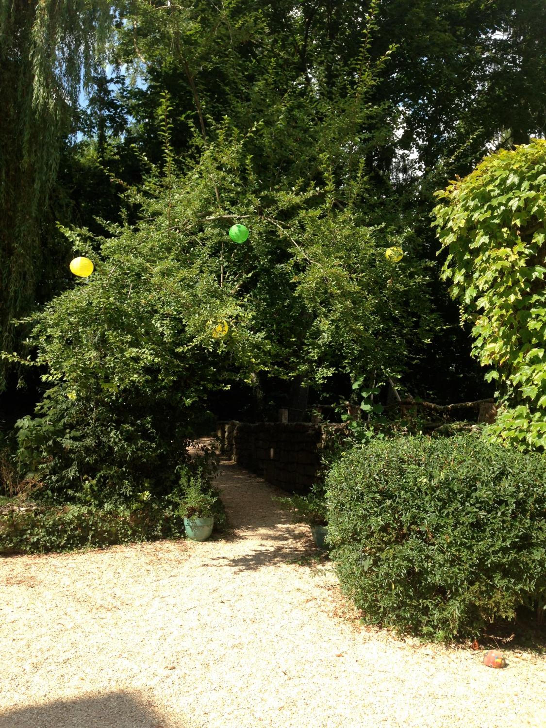 Photo 22