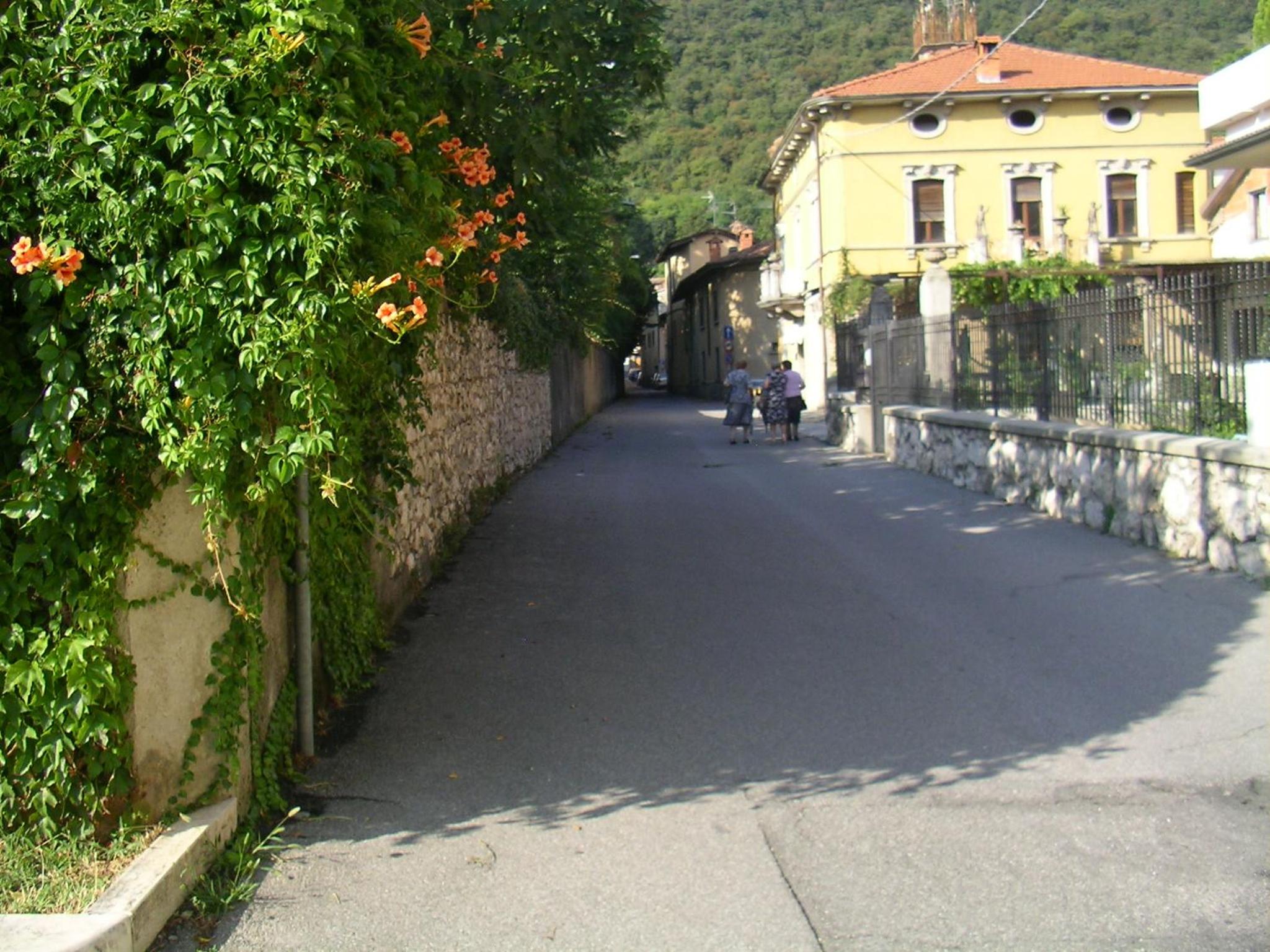 Photo 66