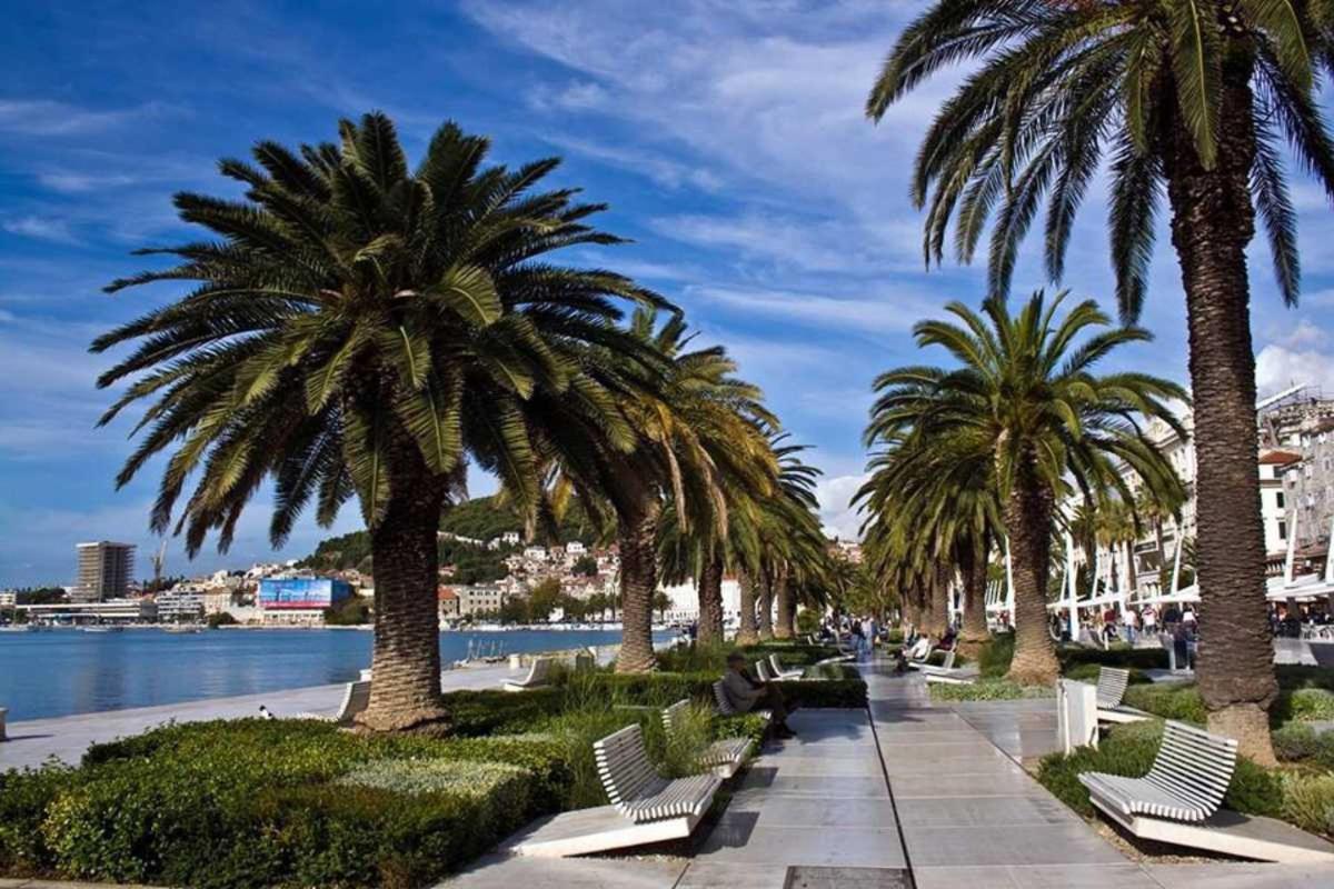 Beach Apartment Summertime