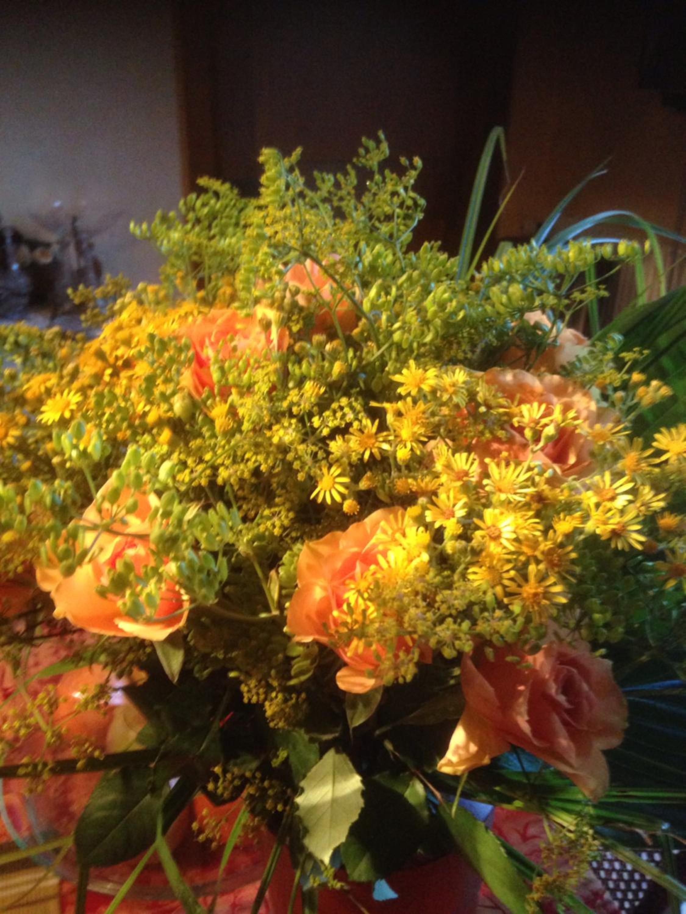 Photo 42