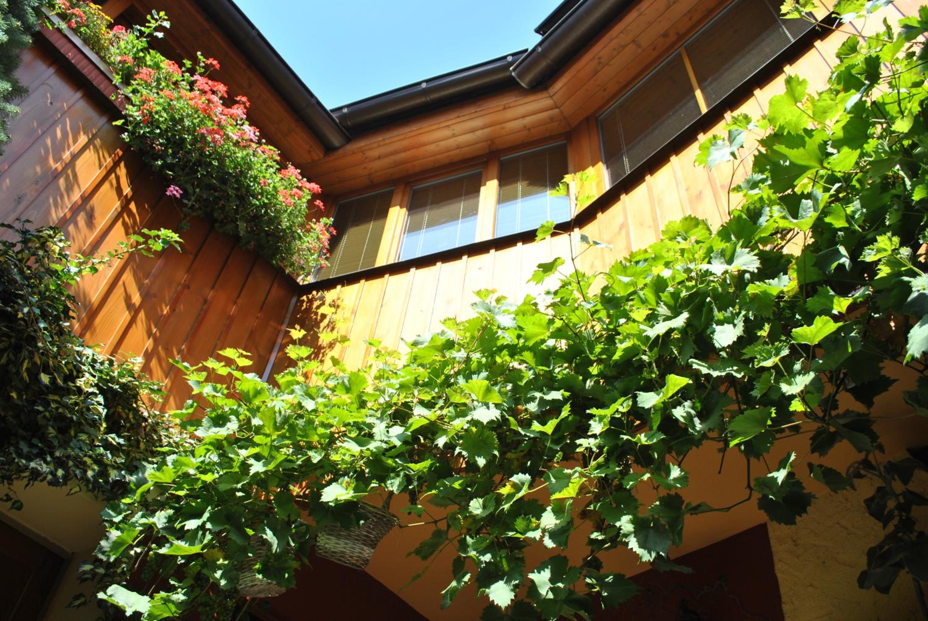 Penzion U Borovičků