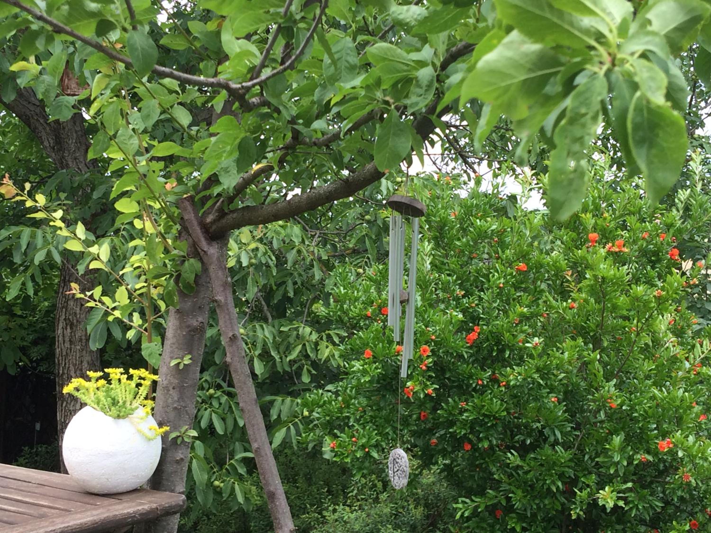 Il Giardino B&B
