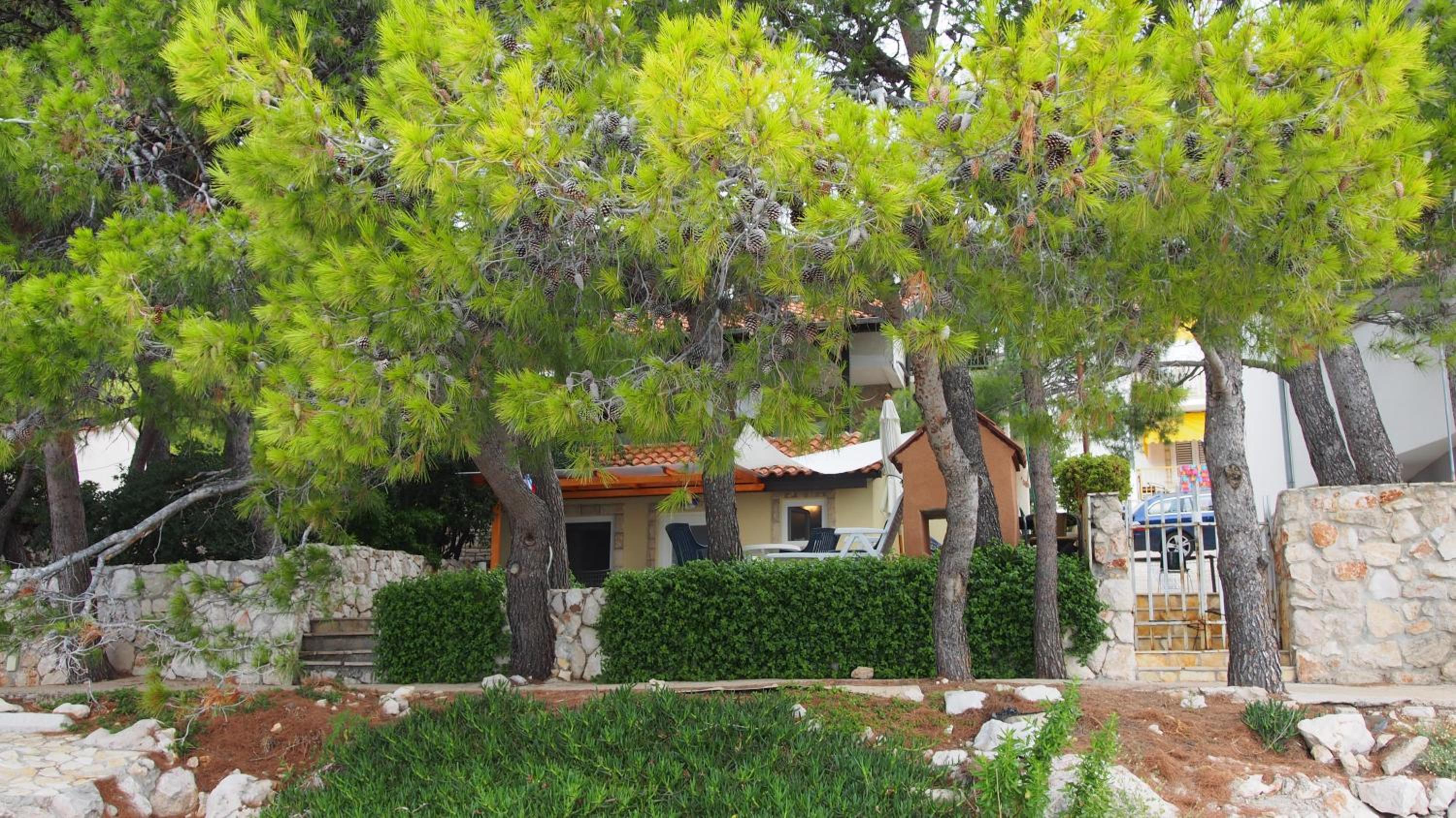 Photo 46