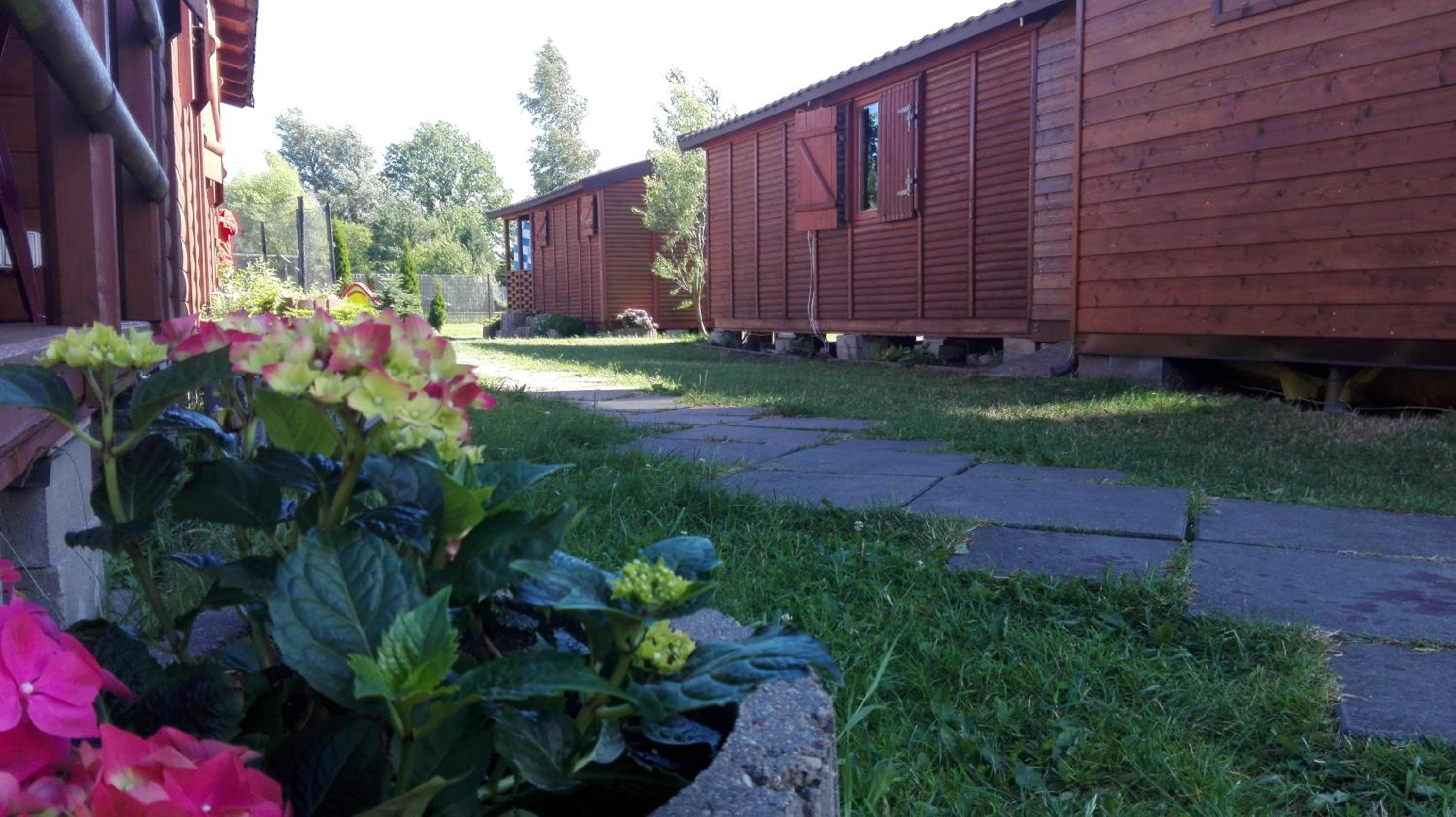 Photo 43