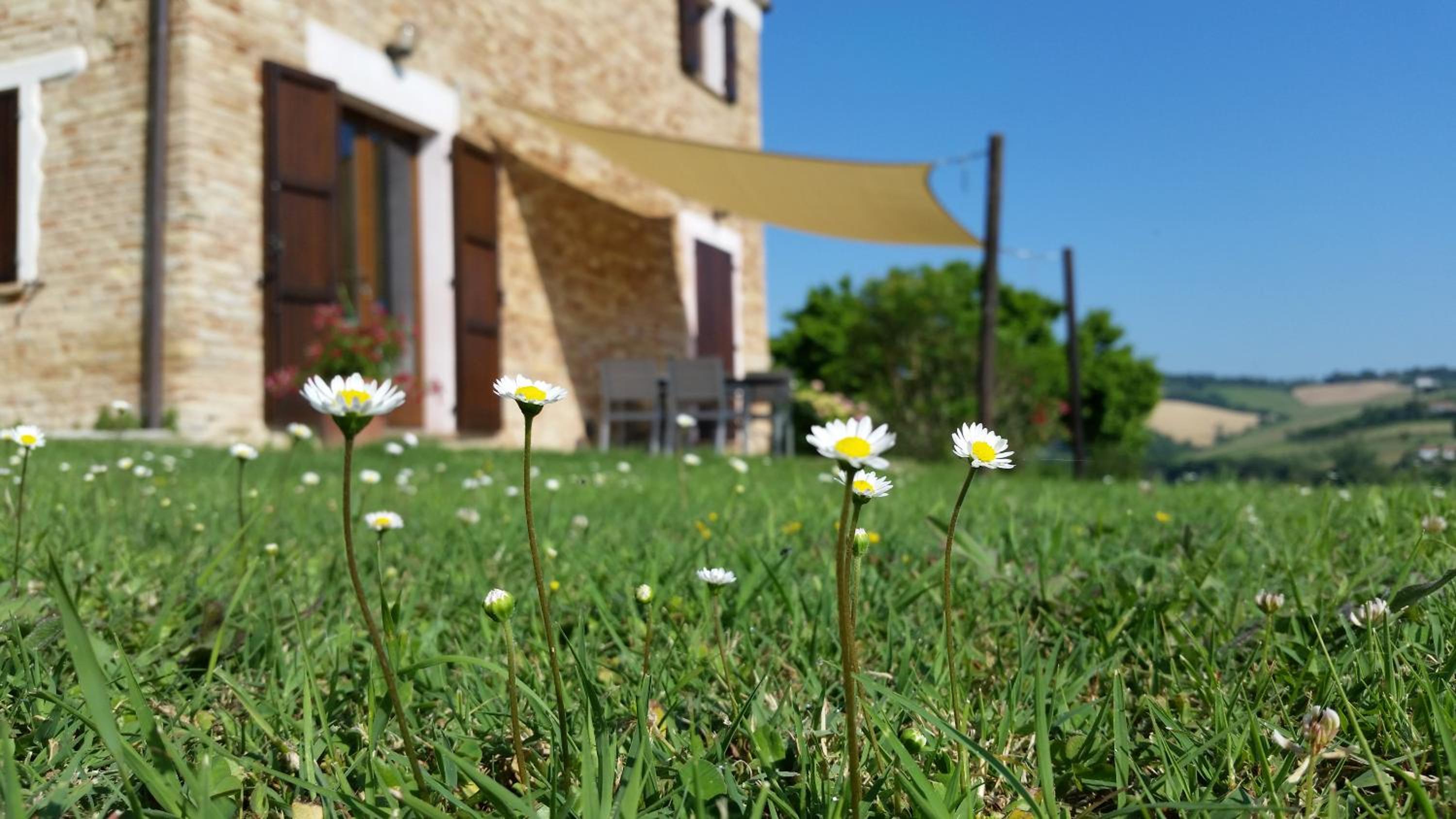 Casa Onda view 5