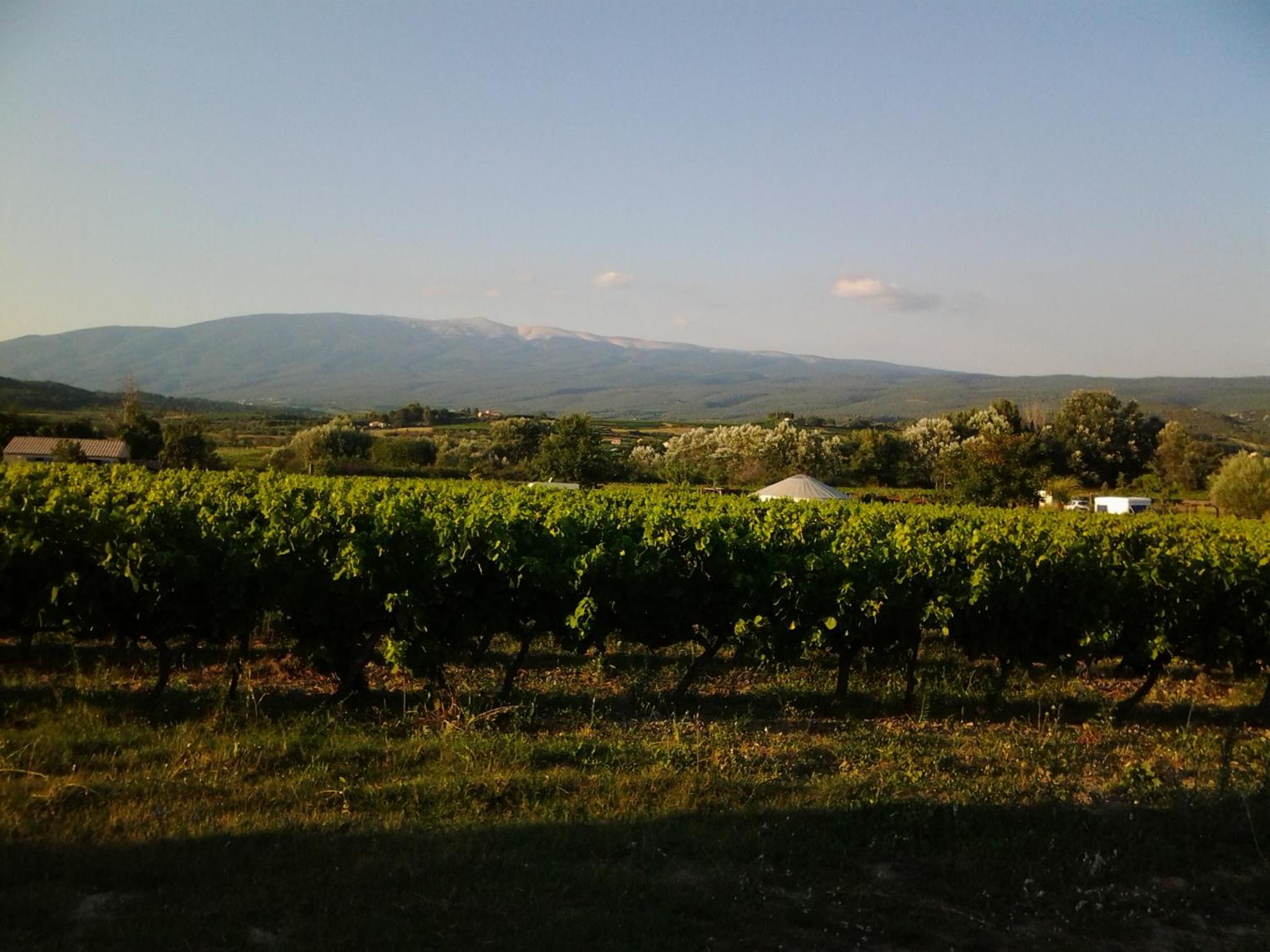 Le Cabanon d'Amandine et Gabriel view 2