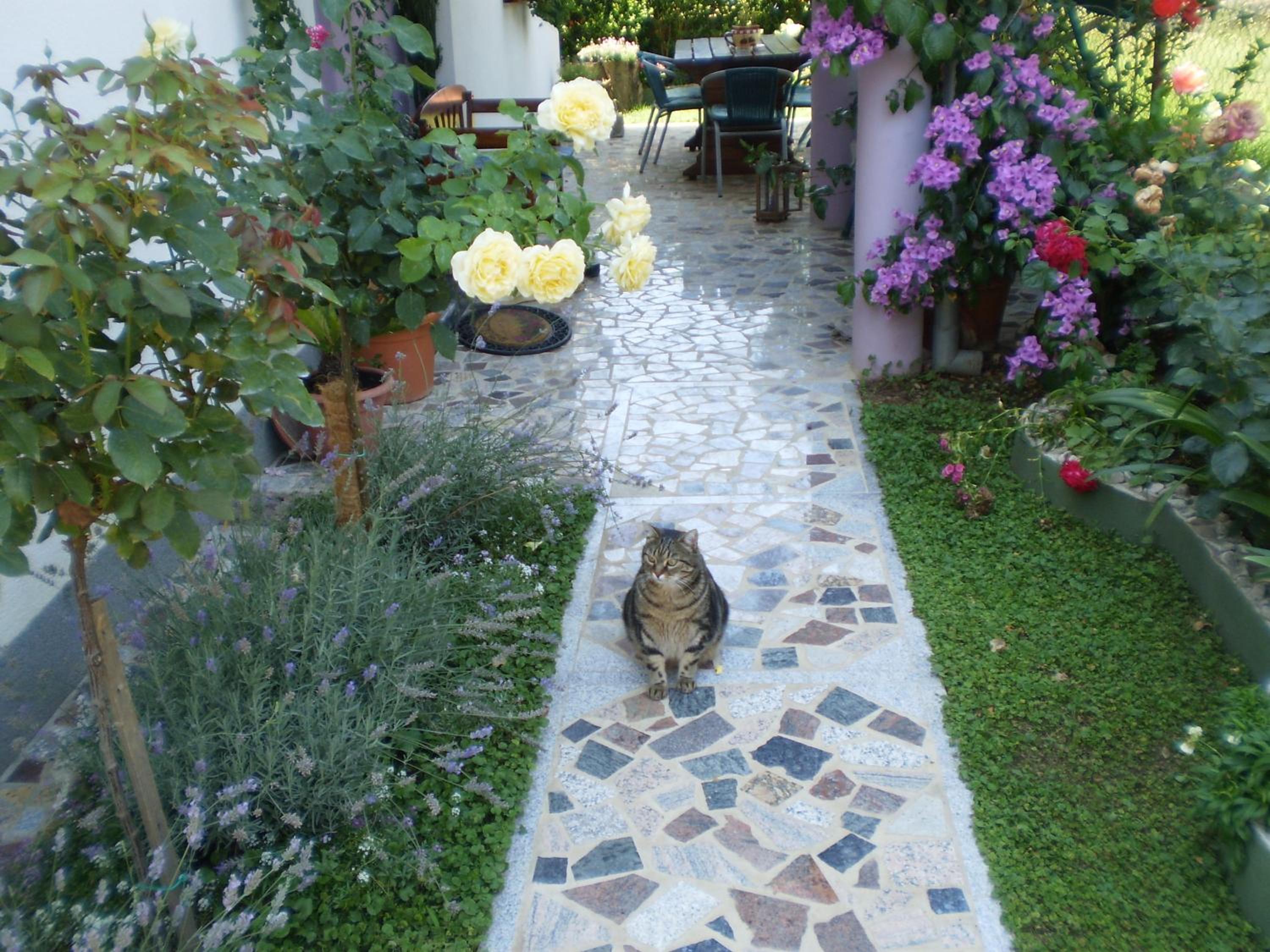 Photo 16