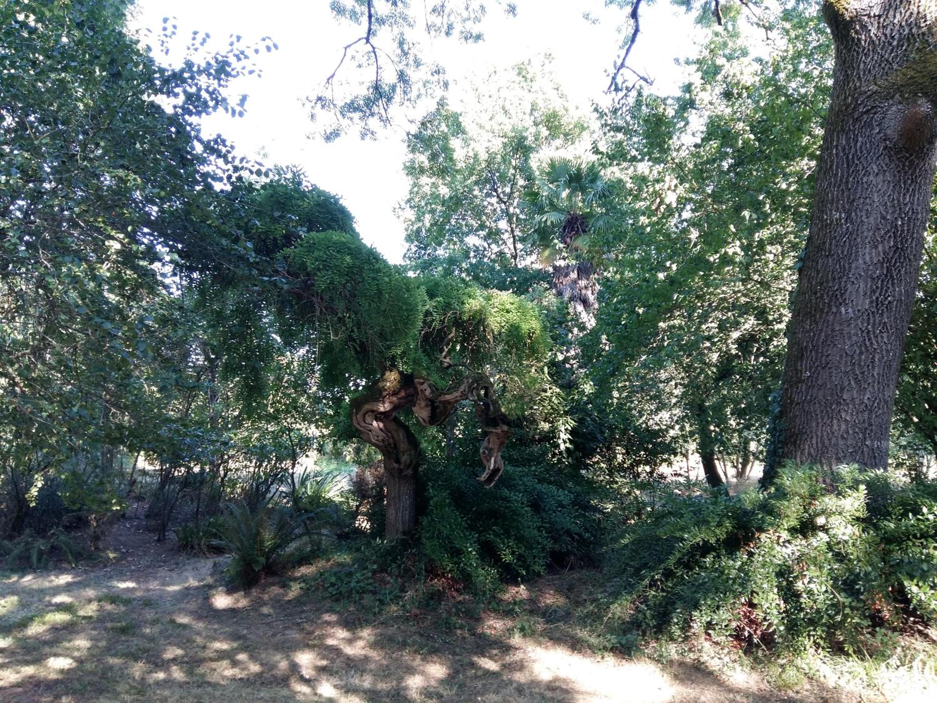 Photo 41