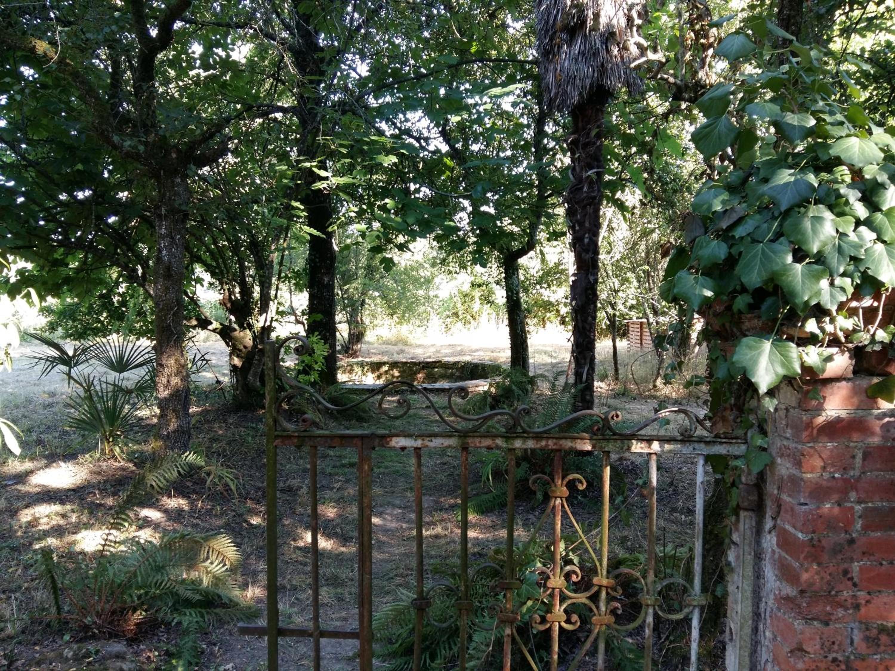 Photo 49