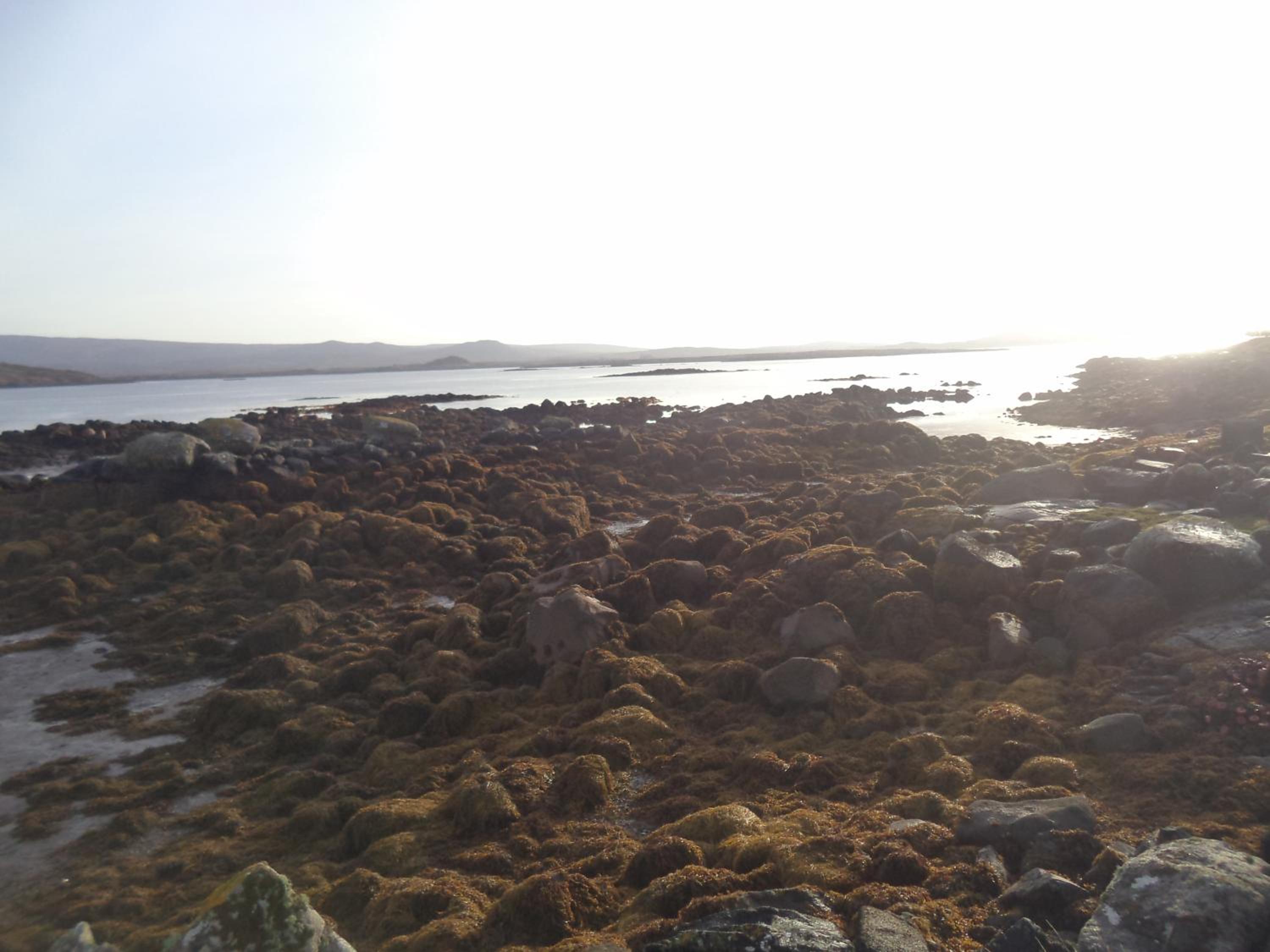 Sea Breeze - Property Image 1